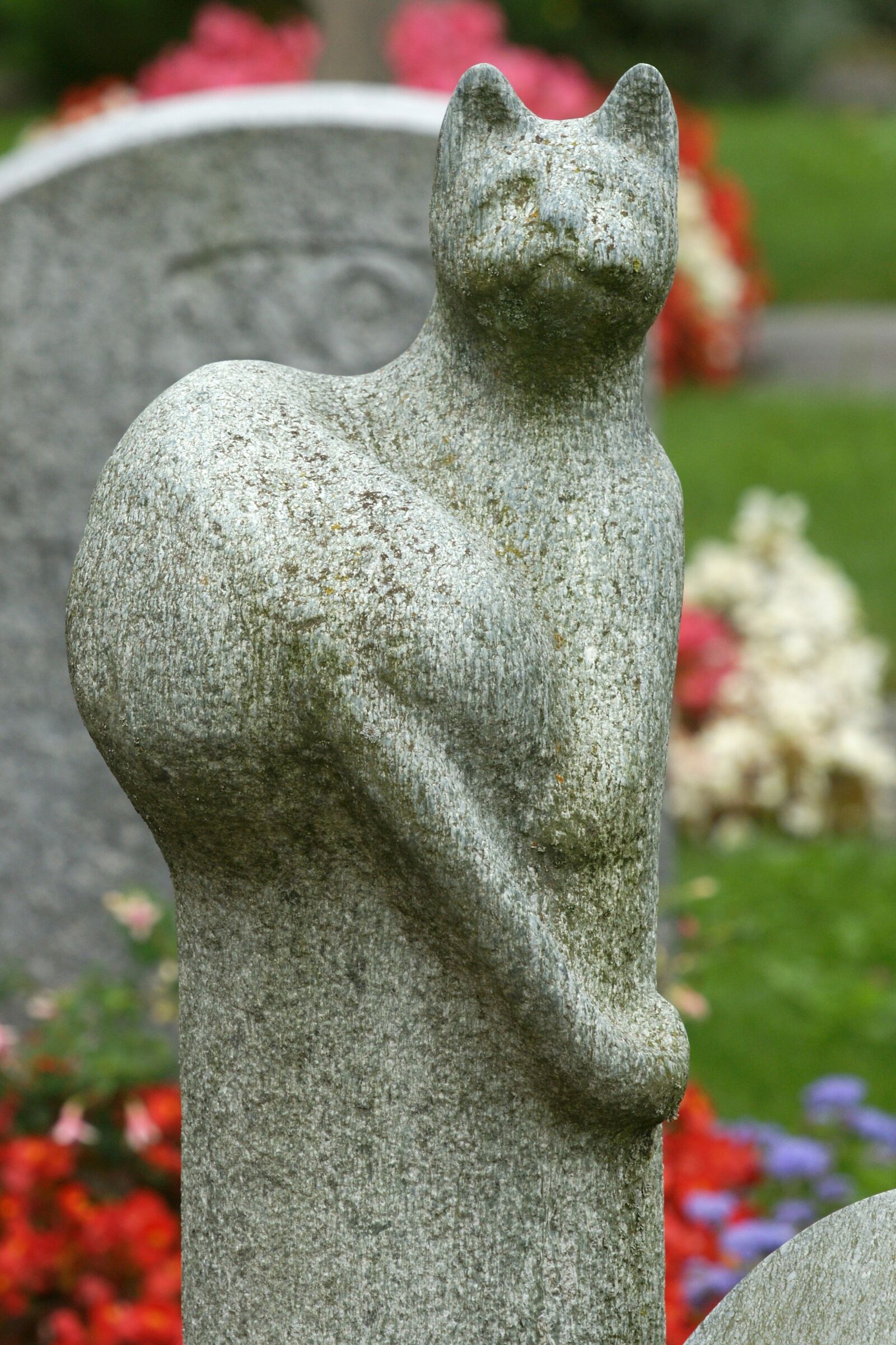 Sony Alpha DSLR-A700 sample photo. Cat, sculpture, craft photography