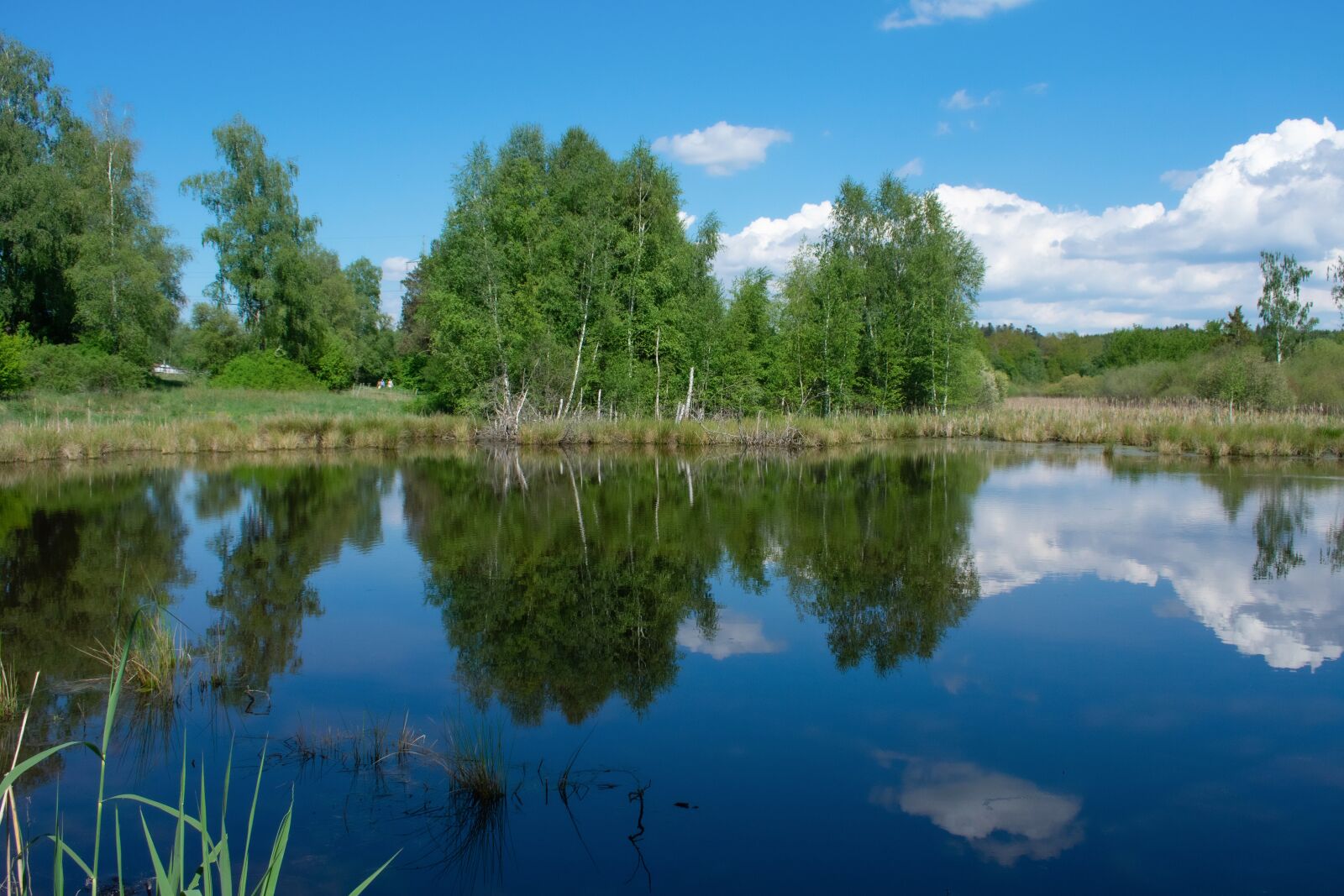 Nikon D3400 sample photo. Landscape, mirror, reflection photography