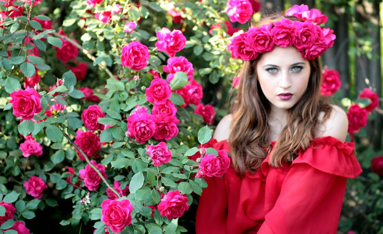 Canon EOS 450D (EOS Rebel XSi / EOS Kiss X2) sample photo. Girl, roses, red photography