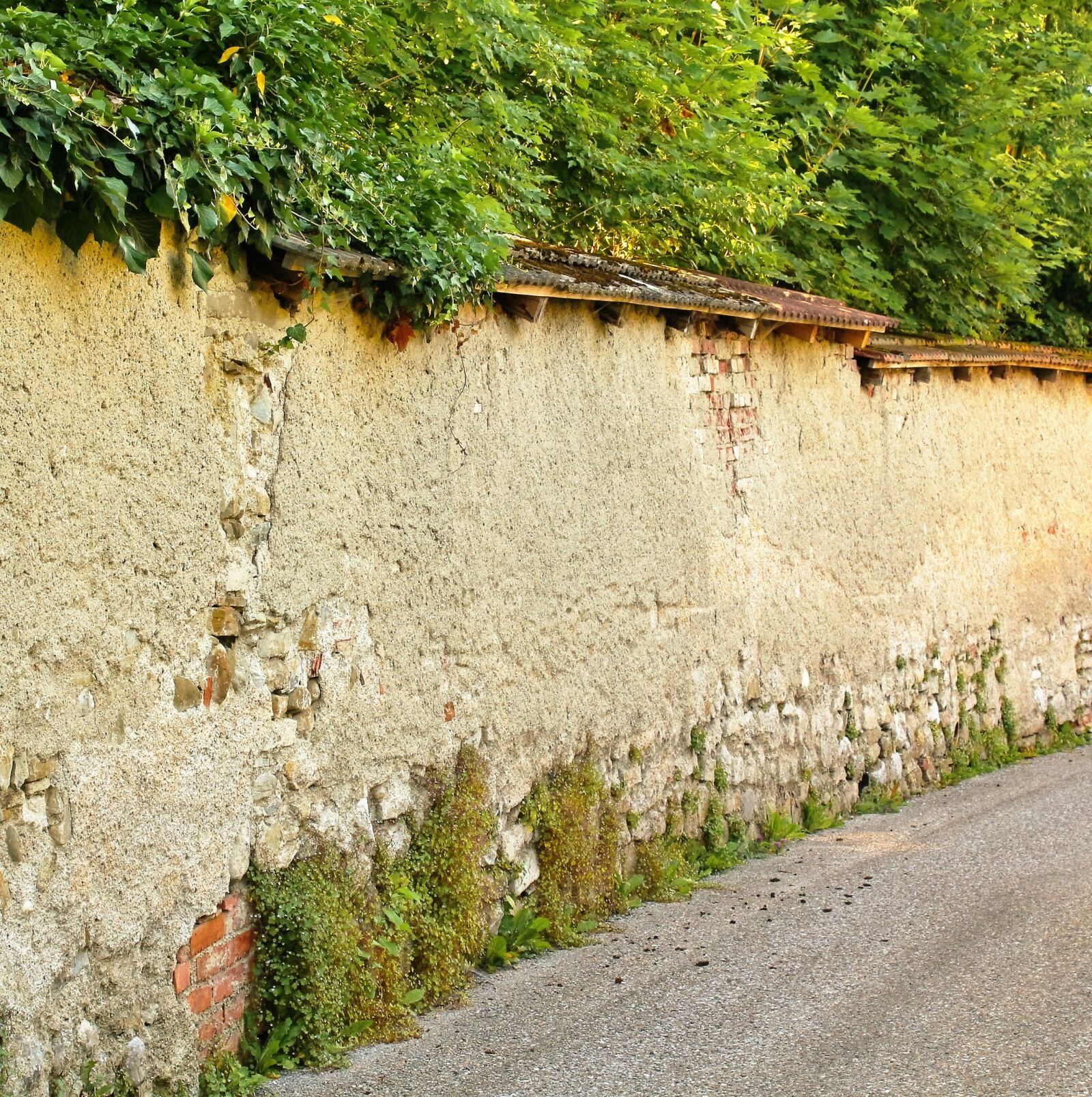 Canon EOS 550D (EOS Rebel T2i / EOS Kiss X4) sample photo. Wall, enclosure, fence photography
