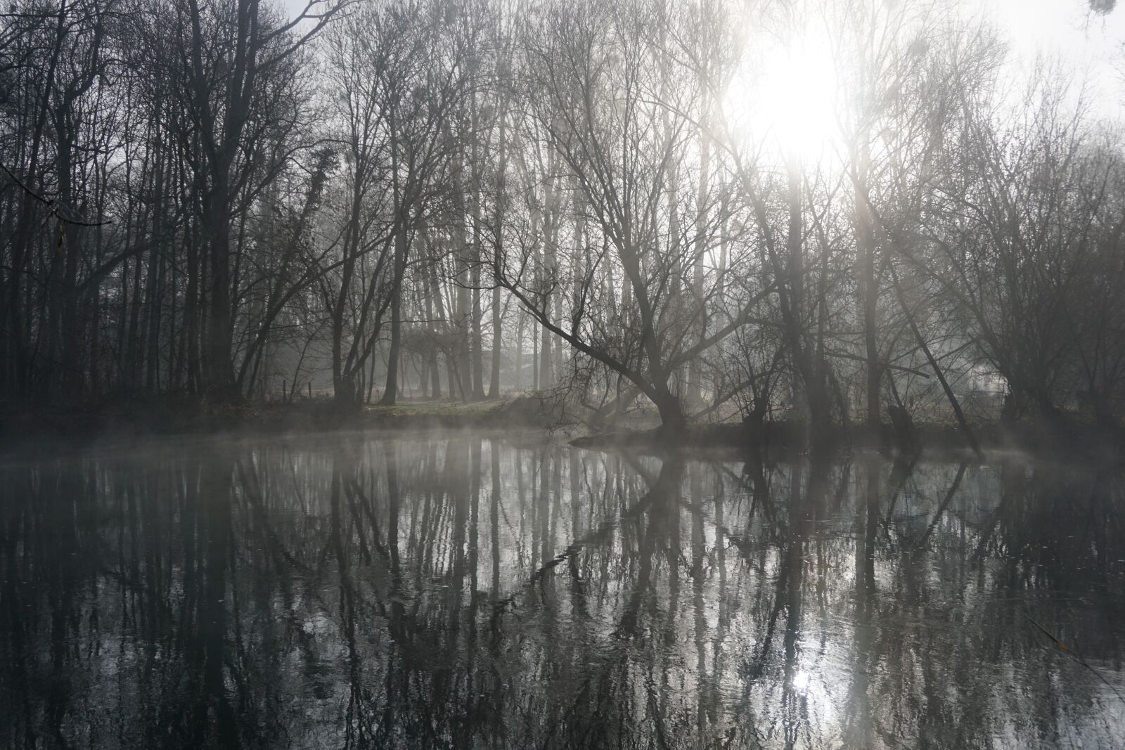 Sony E 16-50mm F3.5-5.6 PZ OSS sample photo. Winter, nature, cold photography
