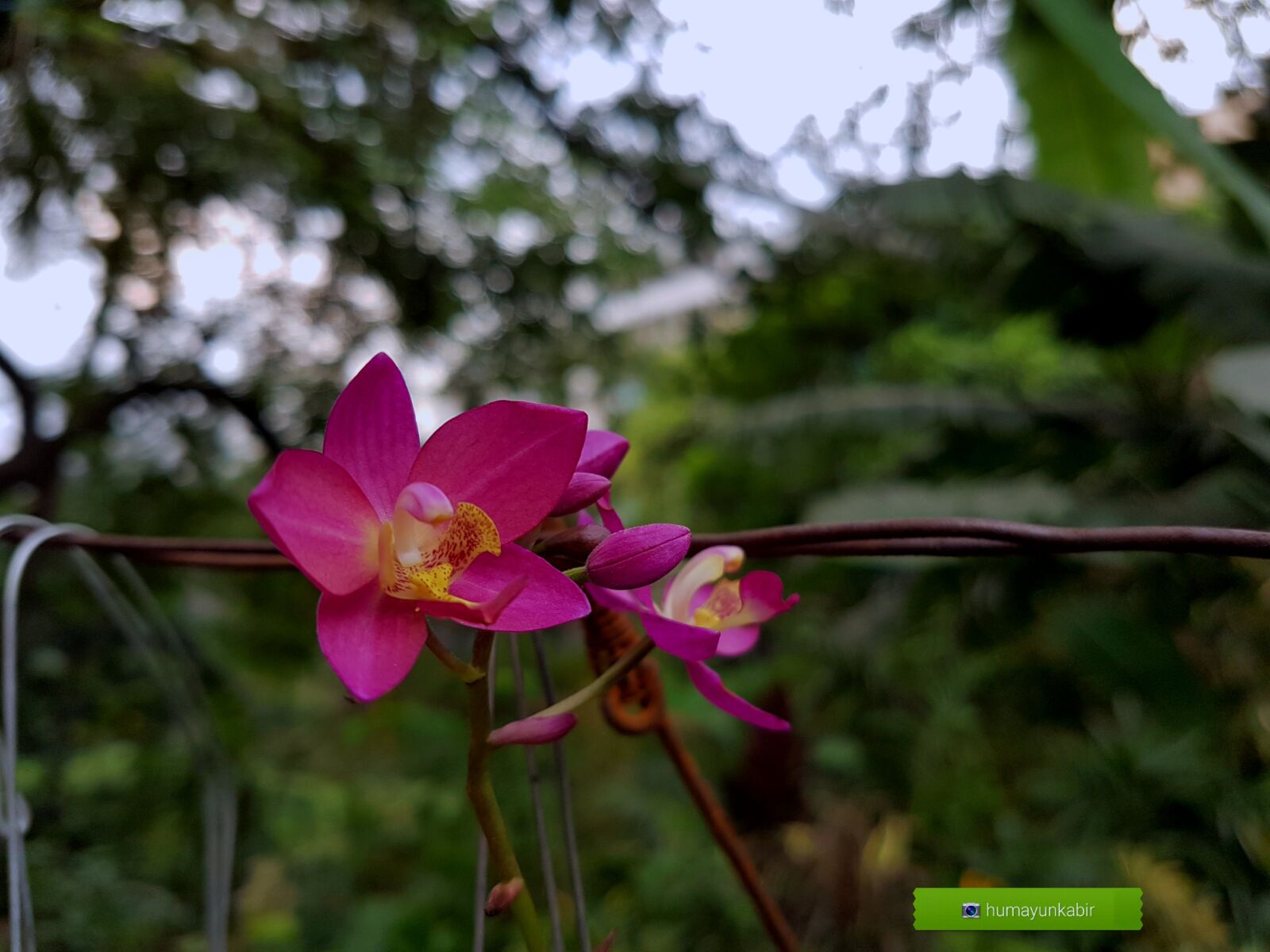 Samsung Galaxy S7 Edge sample photo