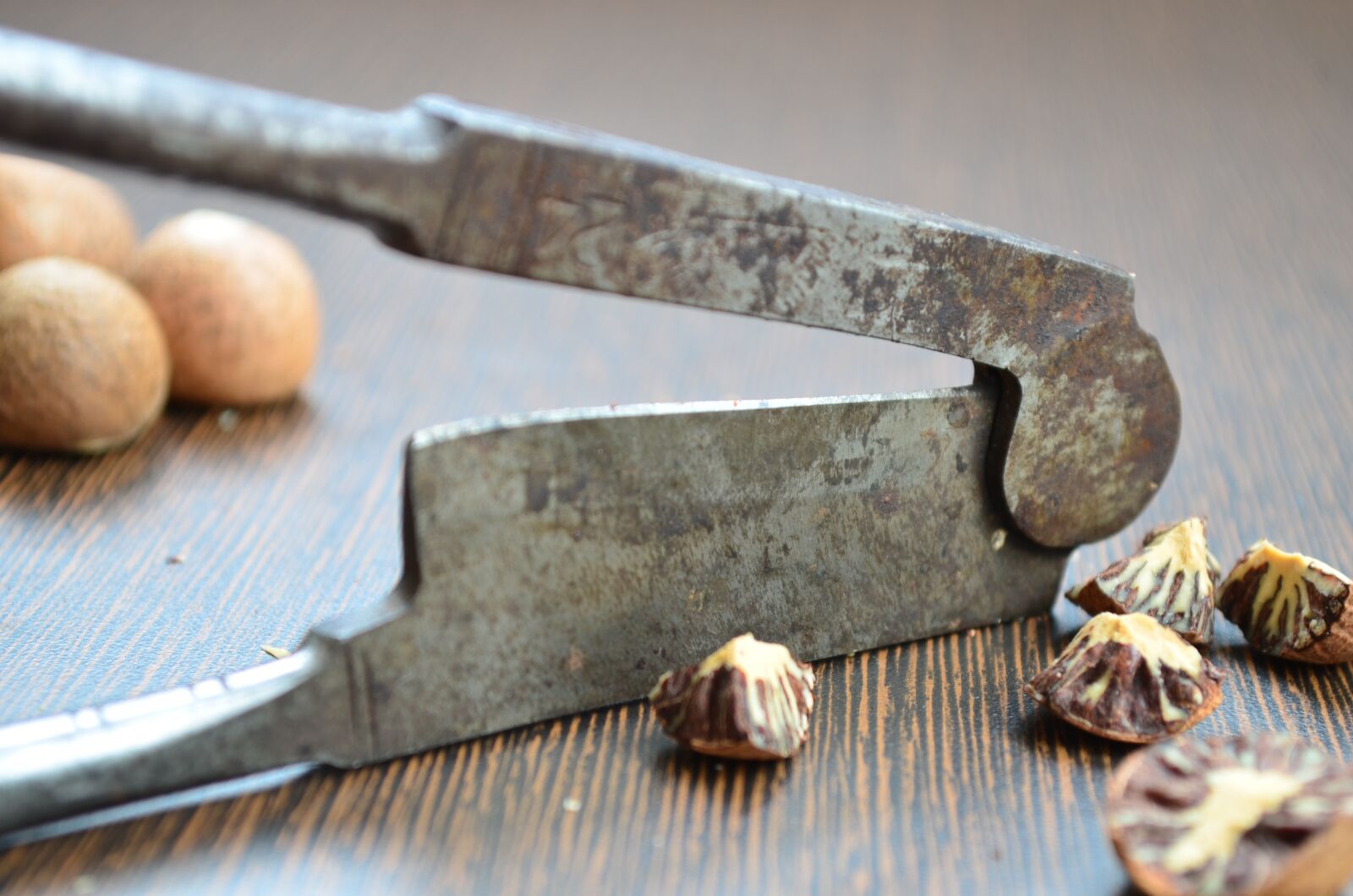 Nikon D5100 sample photo. Nut cracker, betel nut photography