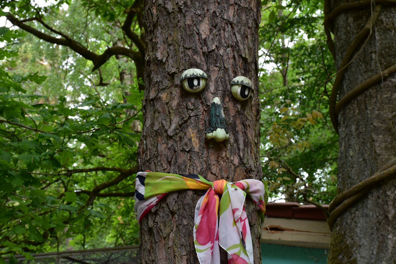 Nikon D7200 sample photo. Tree, nature, decoration photography