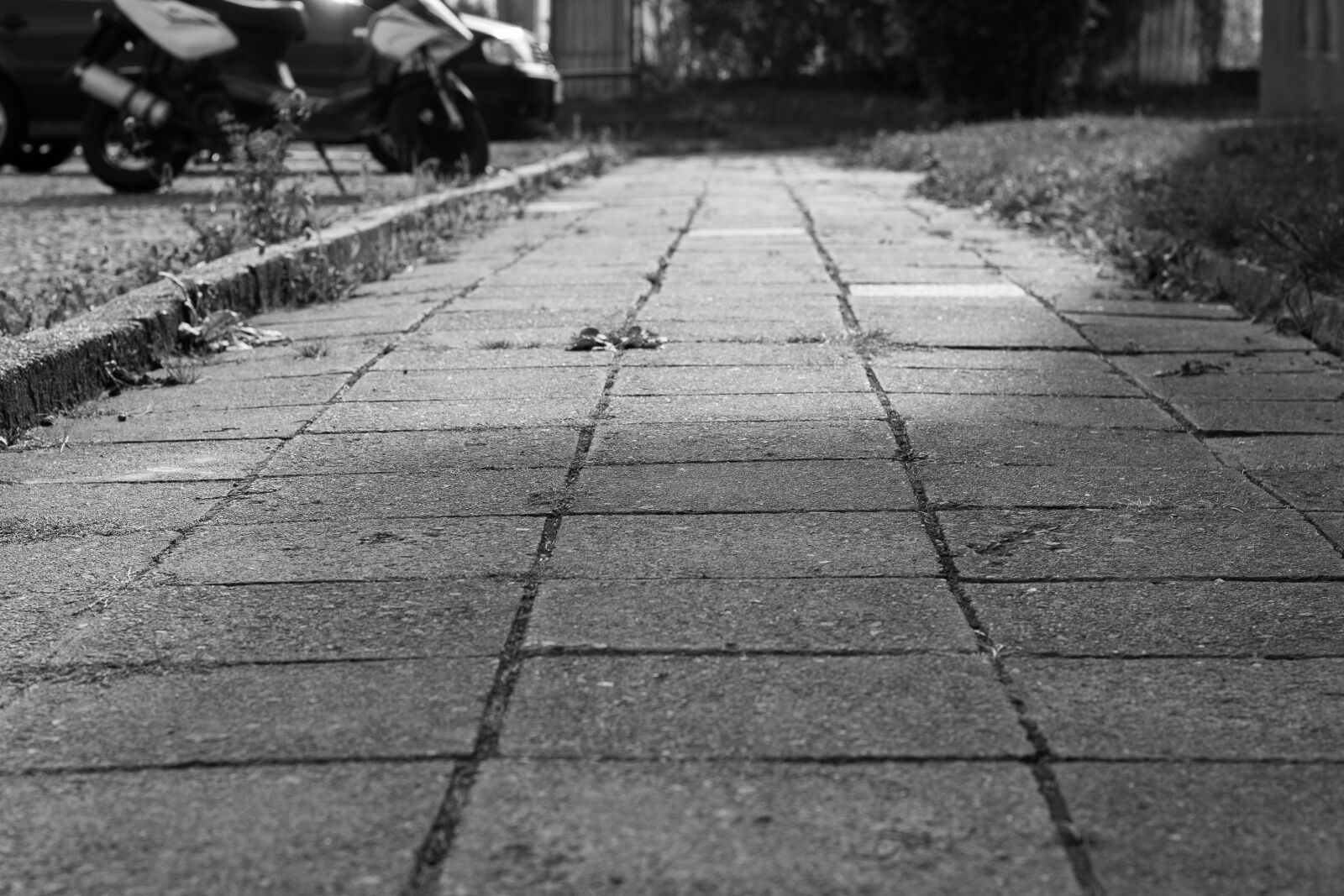 Canon EOS 700D (EOS Rebel T5i / EOS Kiss X7i) + Canon EF 50mm F1.8 STM sample photo. Pavement, path, walking photography