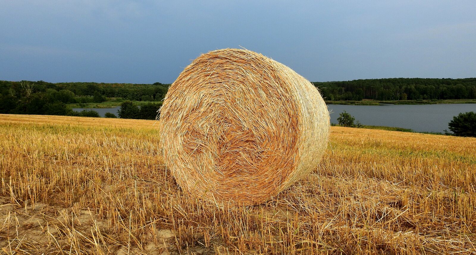 Nikon Coolpix P900 sample photo. Harvest, straw, field photography