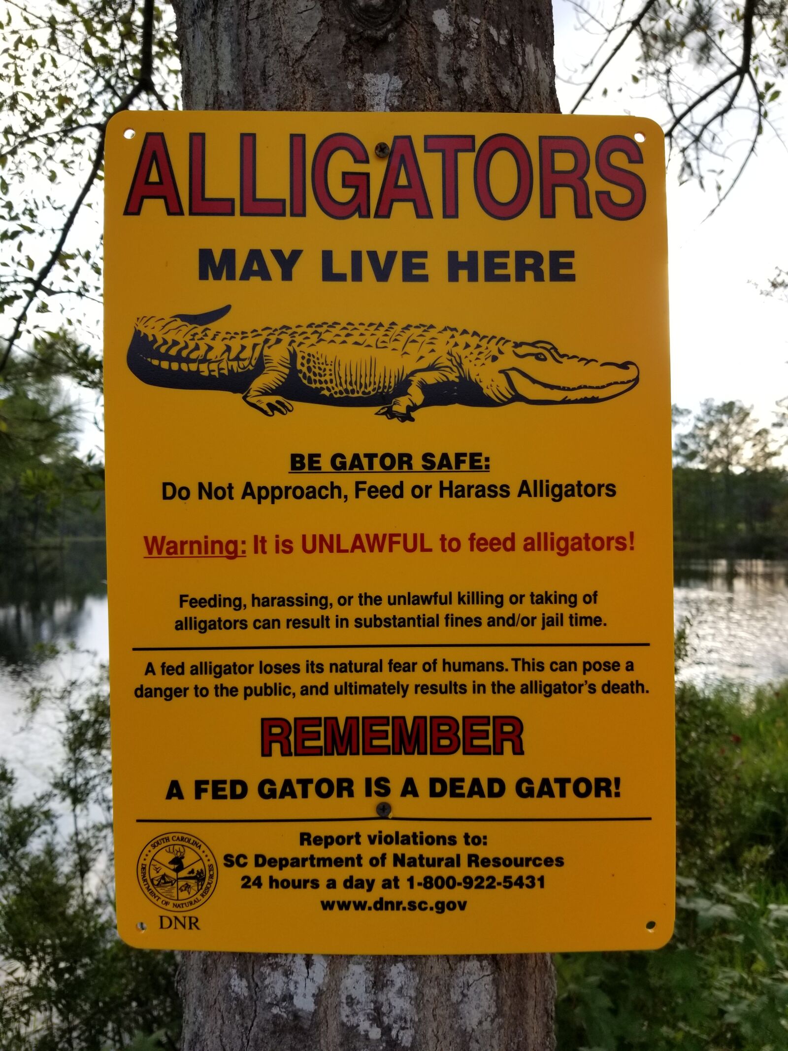 Samsung Galaxy S8 sample photo. Alligator, sign, warning photography