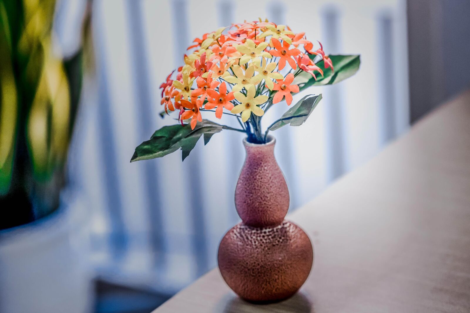 Nikon D800 sample photo. Flower, day, each photography