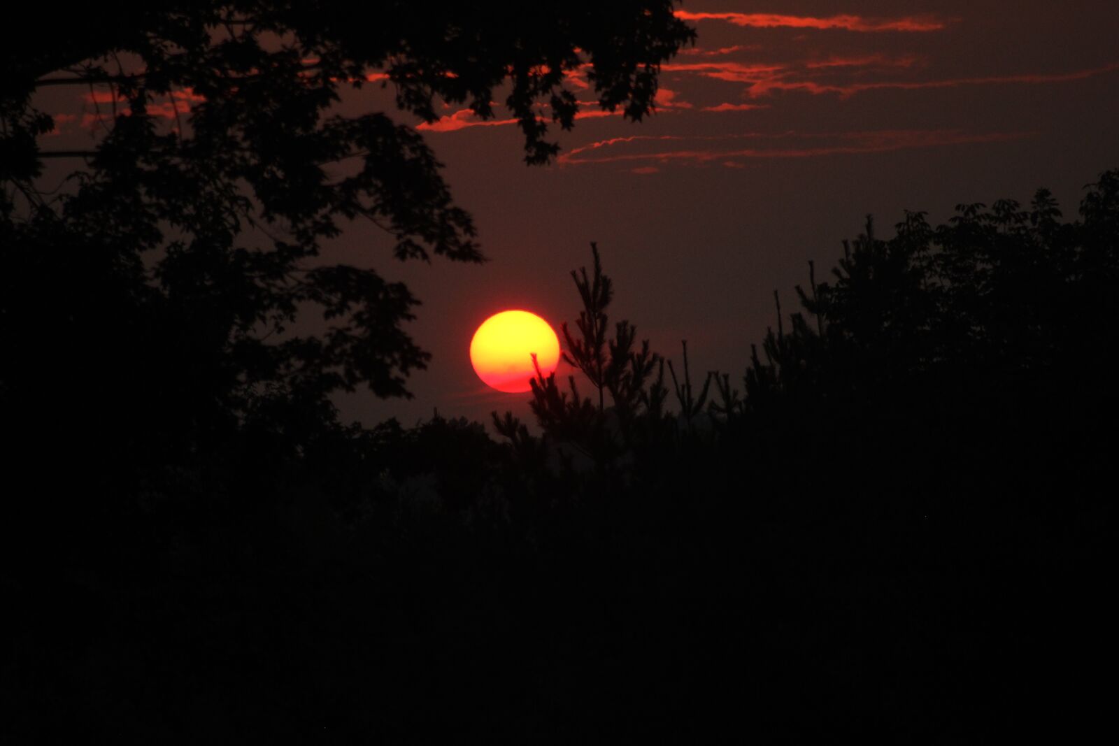 Canon EOS 550D (EOS Rebel T2i / EOS Kiss X4) sample photo. Sunset, summer sunset, dark photography
