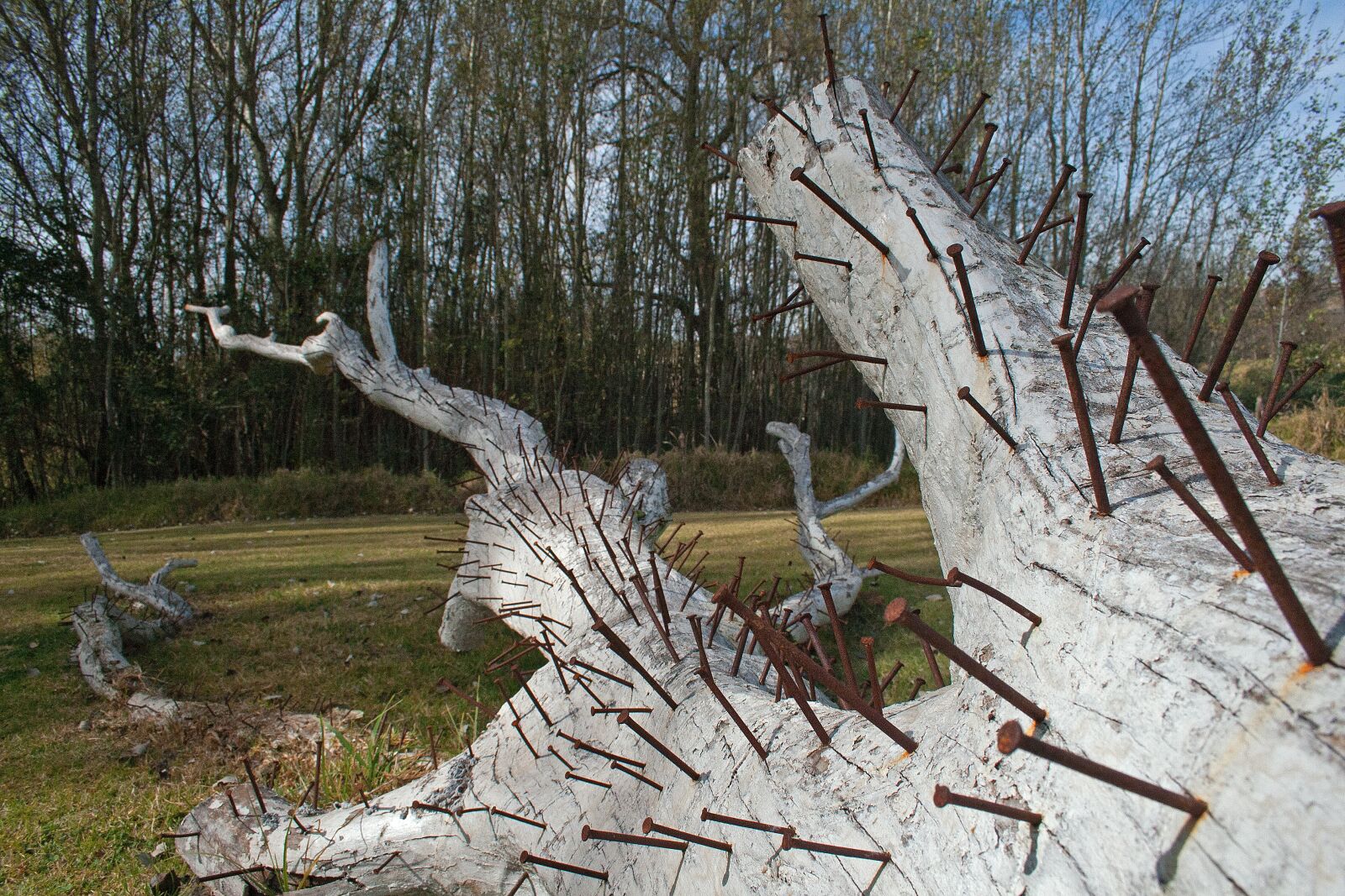 Canon EF-S 18-55mm F3.5-5.6 II sample photo. Sculpture, modern, tree trunk photography