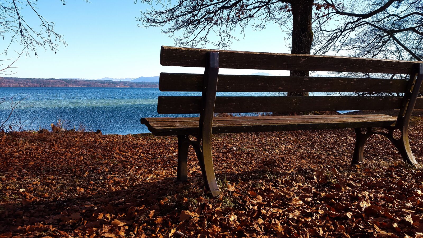Samsung Galaxy Alpha sample photo. Bank, autumn, lake photography