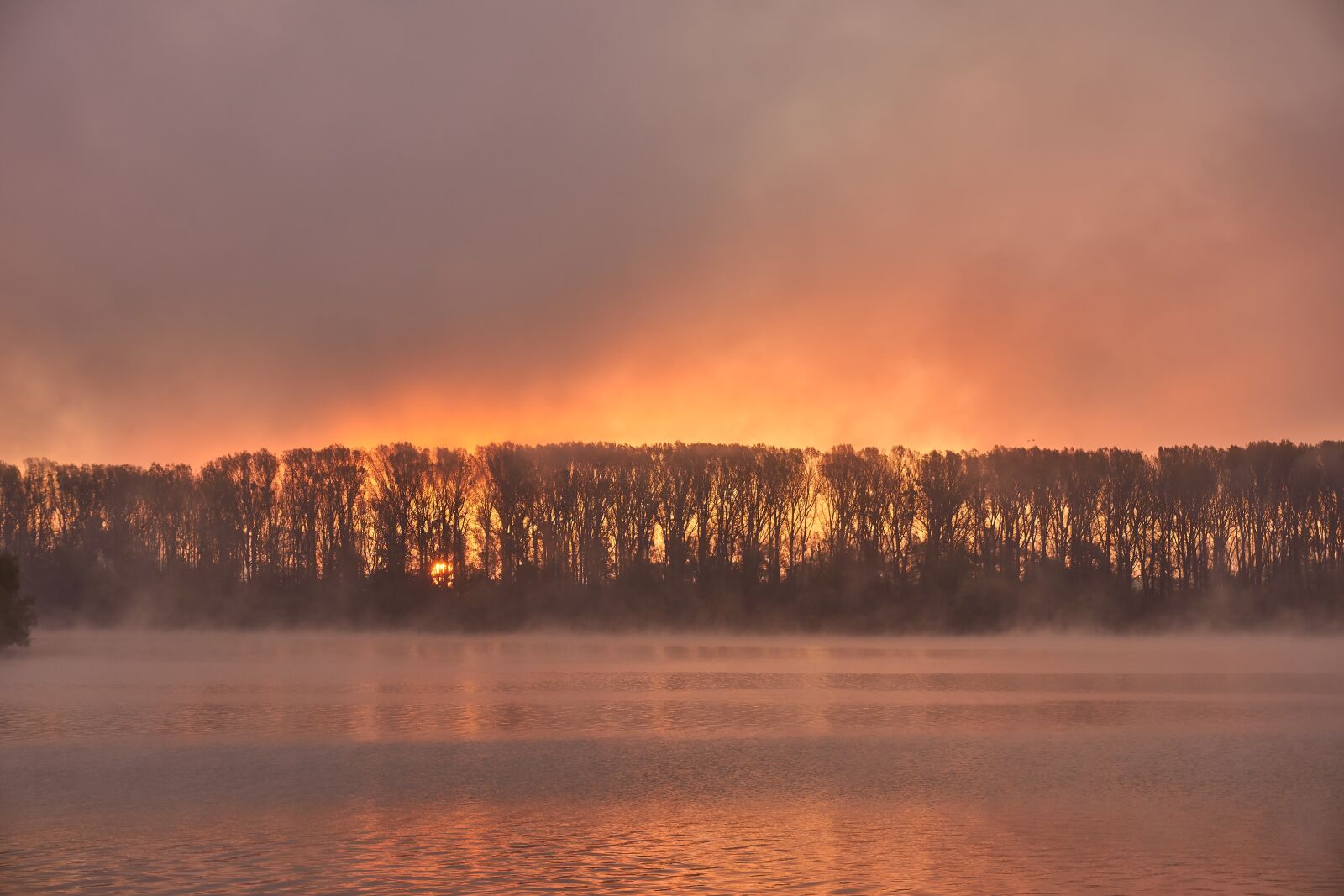 Sony a6400 sample photo. Sunrise, fog, mood photography