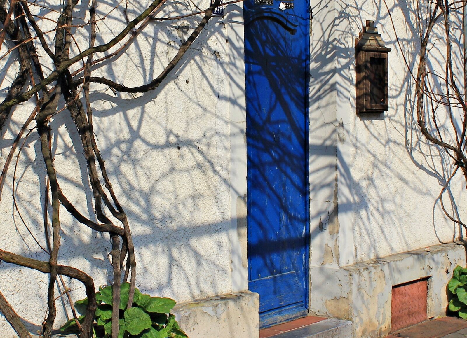 Canon EOS 550D (EOS Rebel T2i / EOS Kiss X4) sample photo. Old house, blue door photography