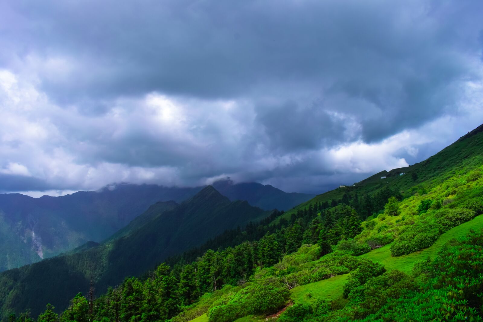 Nikon D3300 sample photo. Nature, landscape, background photography