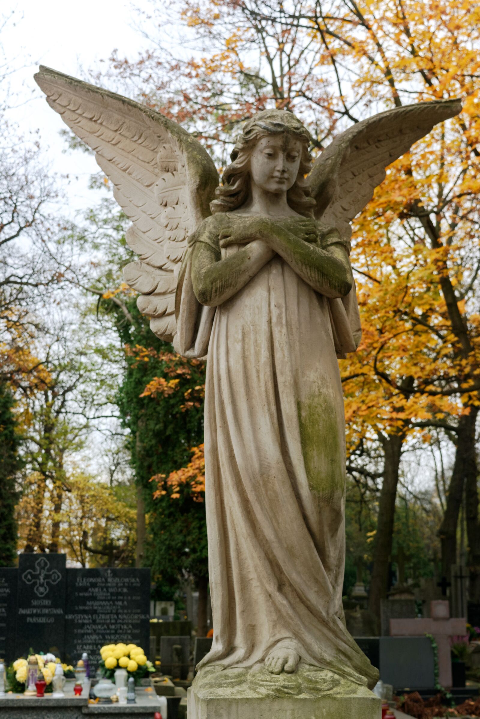 Nikon D3100 sample photo. Sculpture, figure, art photography
