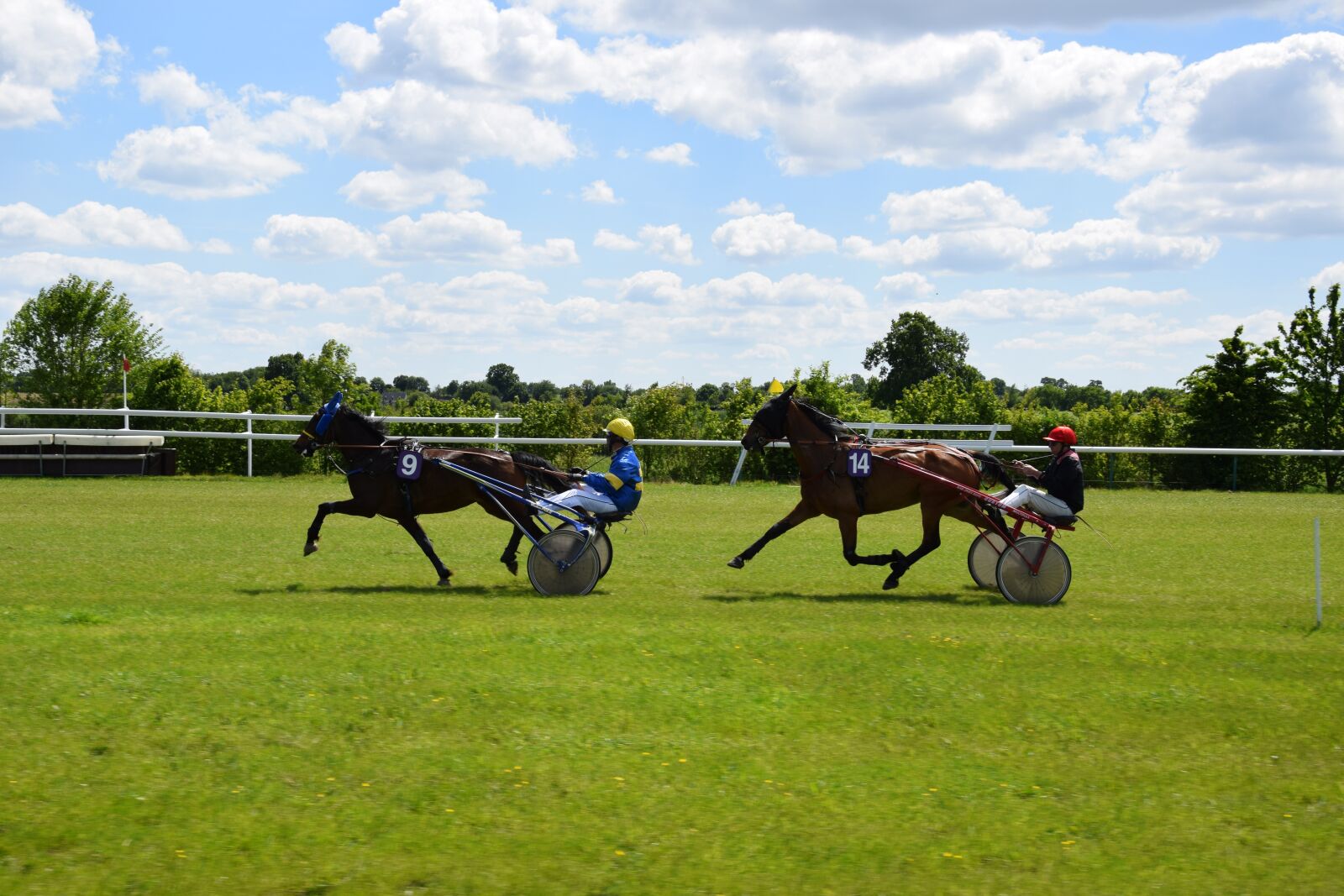 Nikon D5300 sample photo. Horse, equestrian, race photography