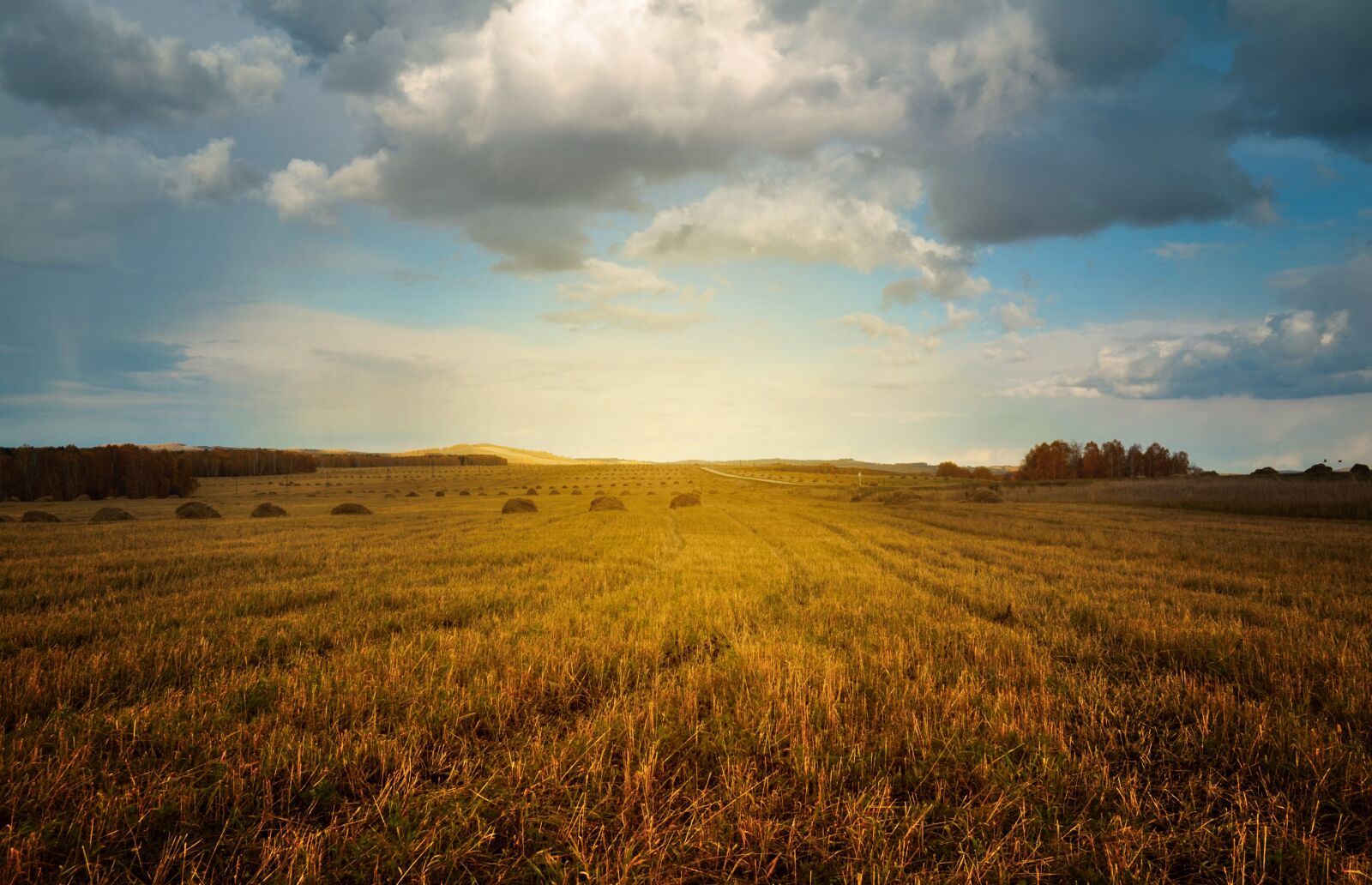 Nikon D5000 sample photo. Landscape, nature, field photography