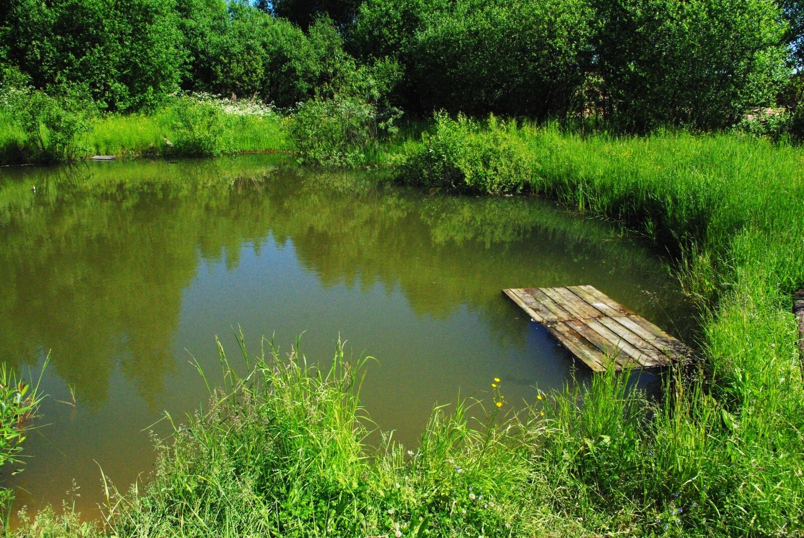 Pentax K200D sample photo. Pond, village, raft photography