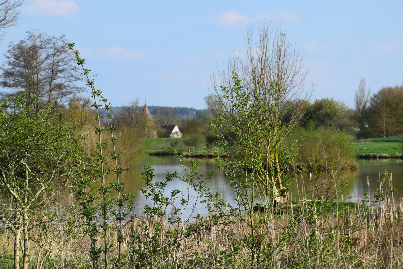 Nikon D5300 sample photo. Pond, spring, nature photography