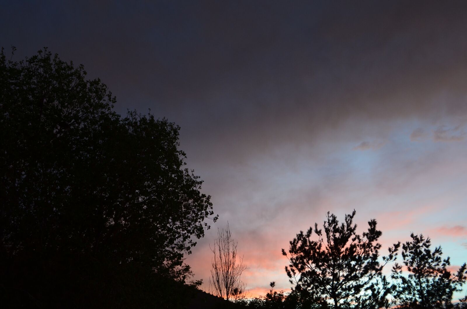 Nikon D5100 sample photo. Cloud, tree, landscape photography
