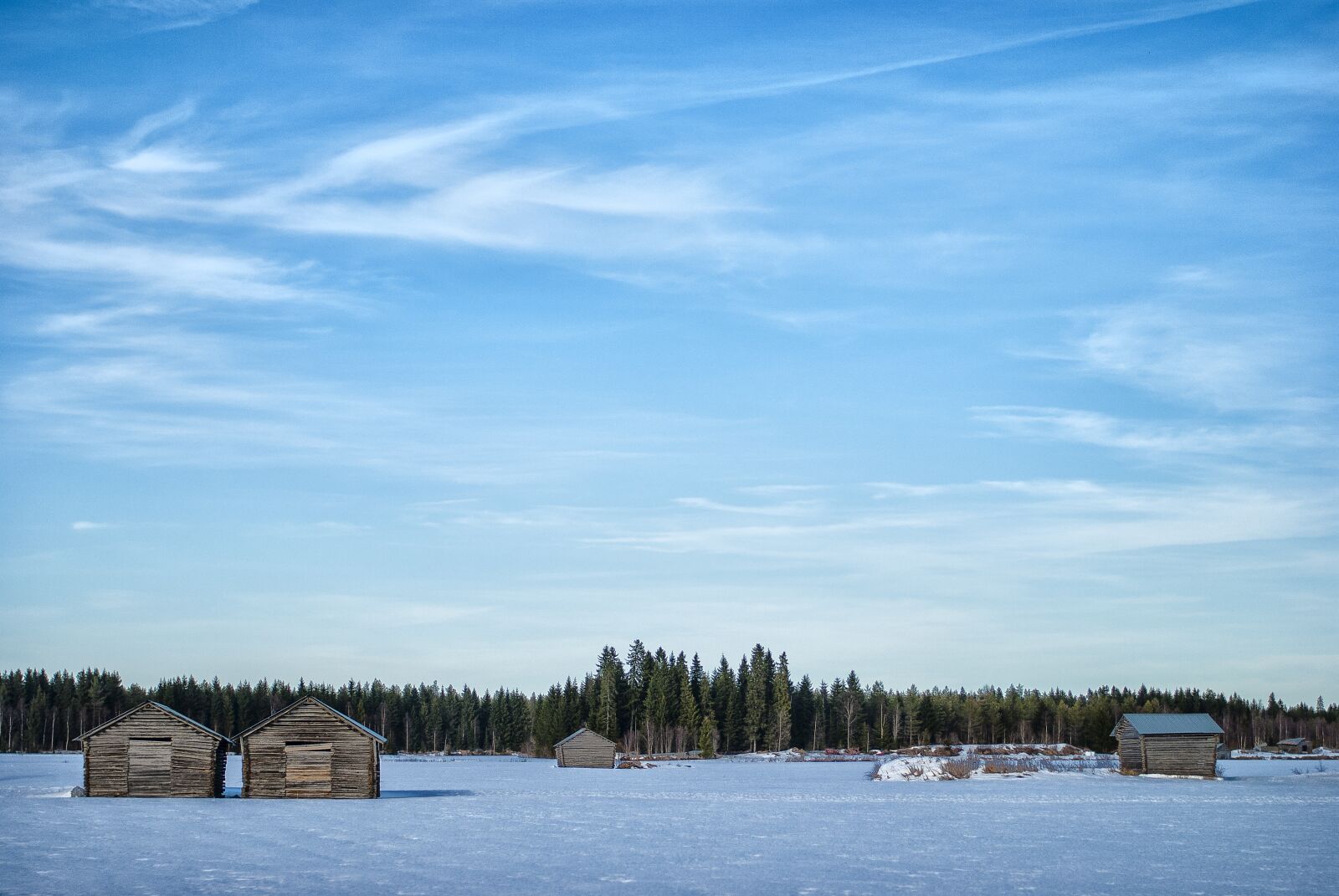 Nikon D80 sample photo. Barn, field, spring photography