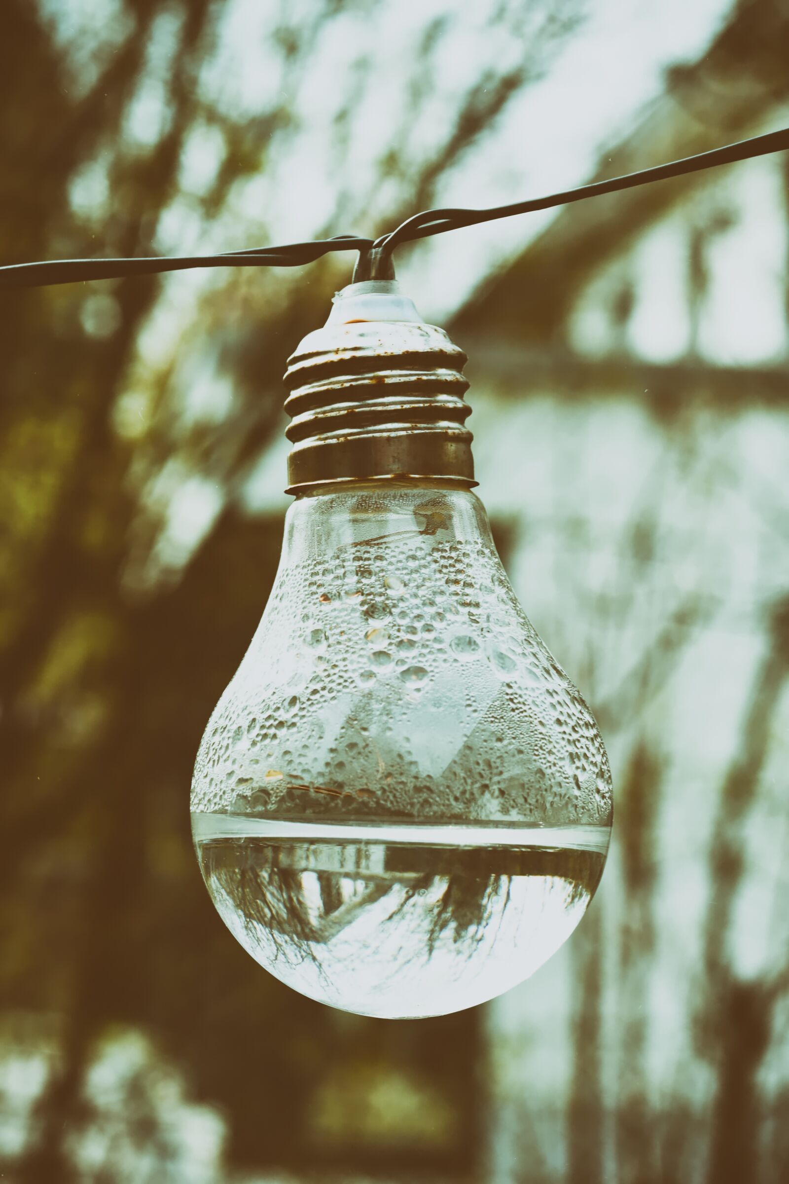 Nikon D7200 sample photo. Light bulb, water, energy photography