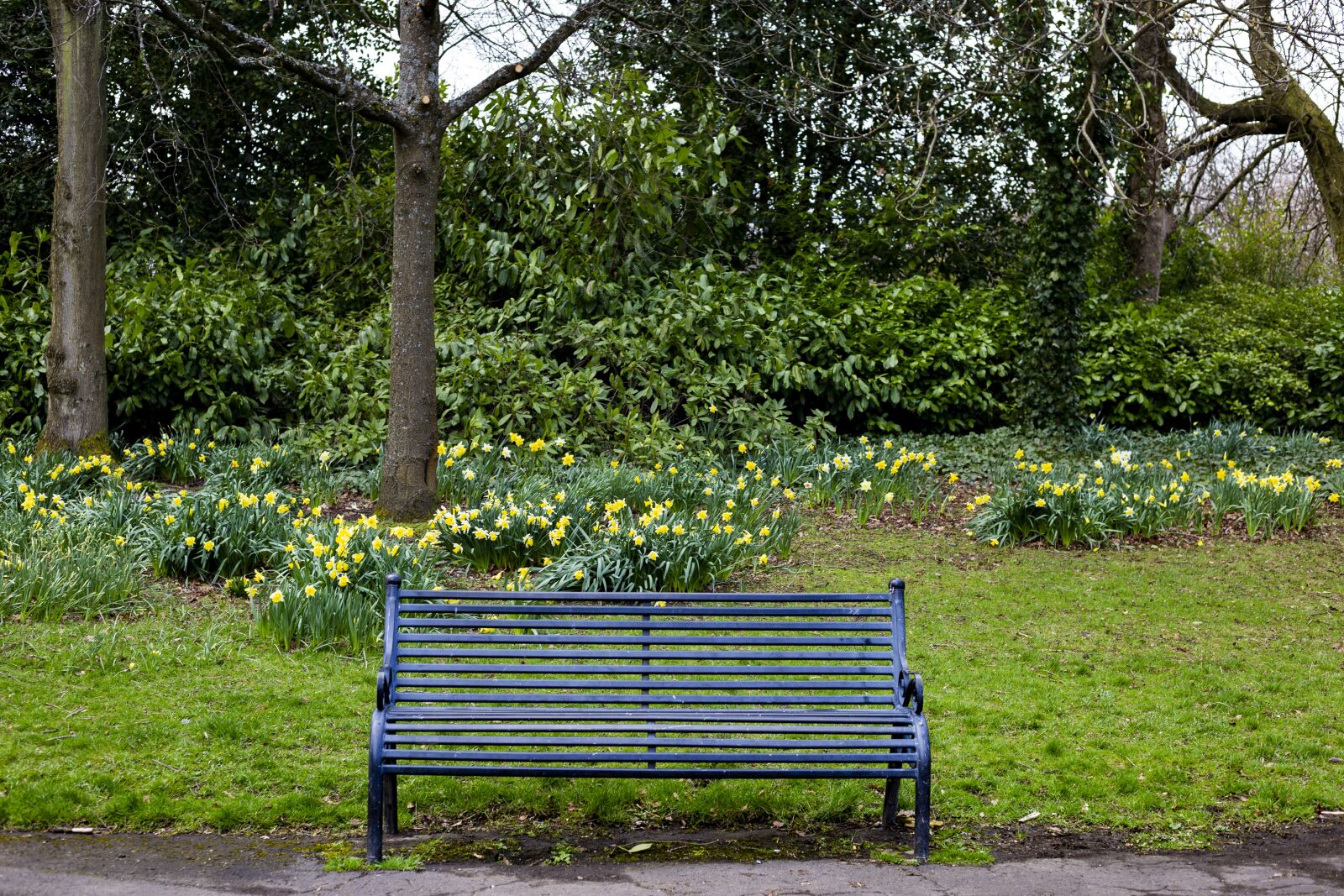 Canon EF 50mm F1.8 STM sample photo. Bench, park, seat photography