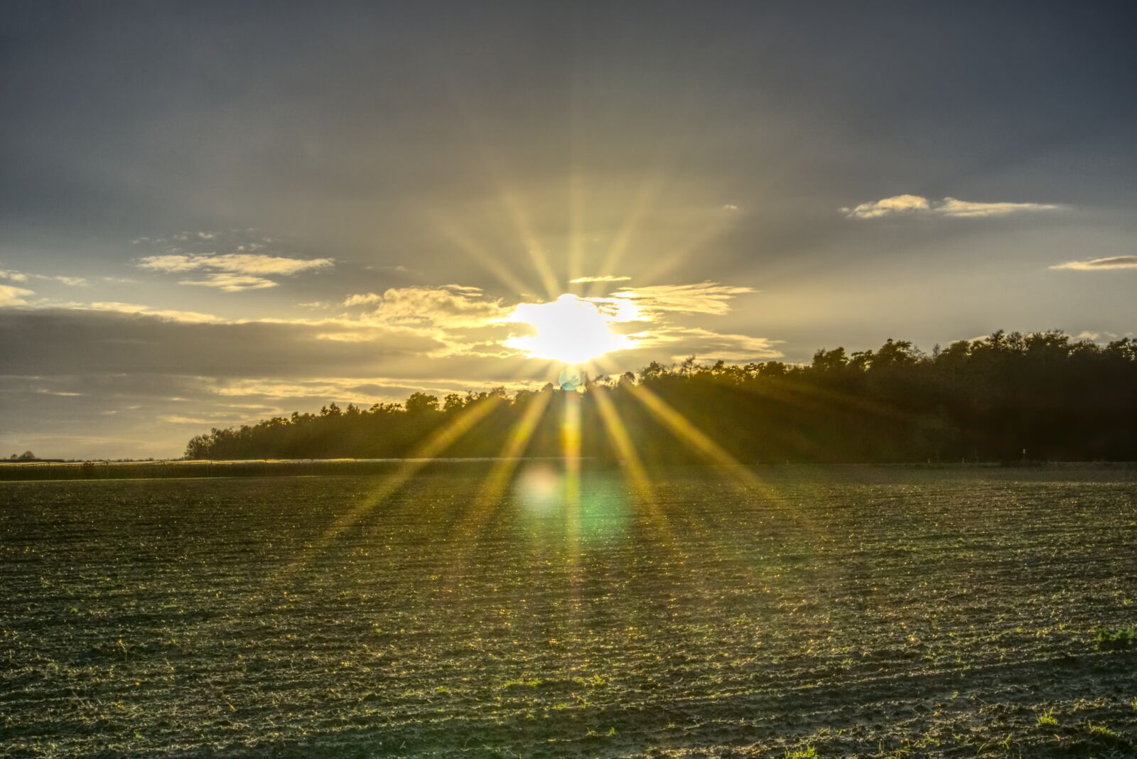 Sony a6000 sample photo. Sun, backlighting, dazzling star photography