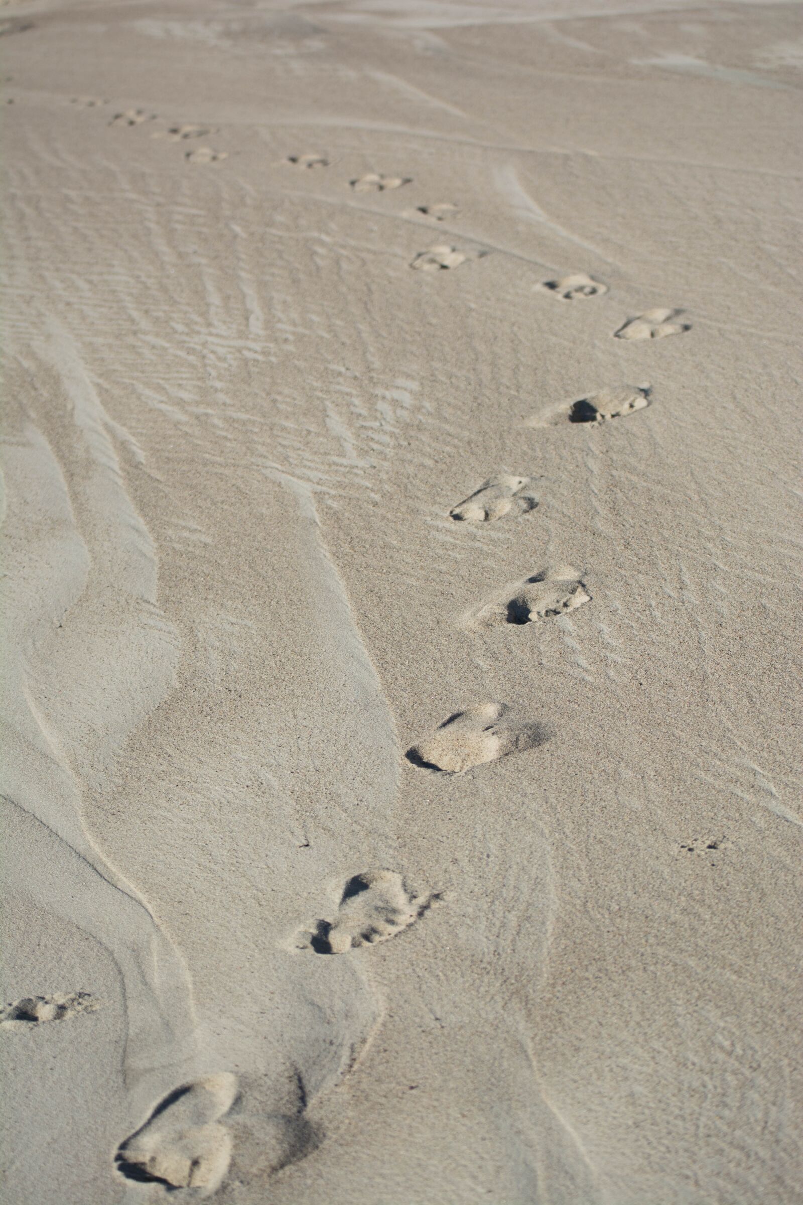 Tamron SP 70-300mm F4-5.6 Di VC USD sample photo. Sand, beach, traces photography