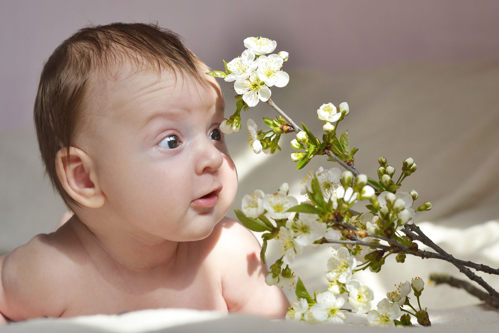 Nikon D3100 sample photo. Kids, kid, baby photography