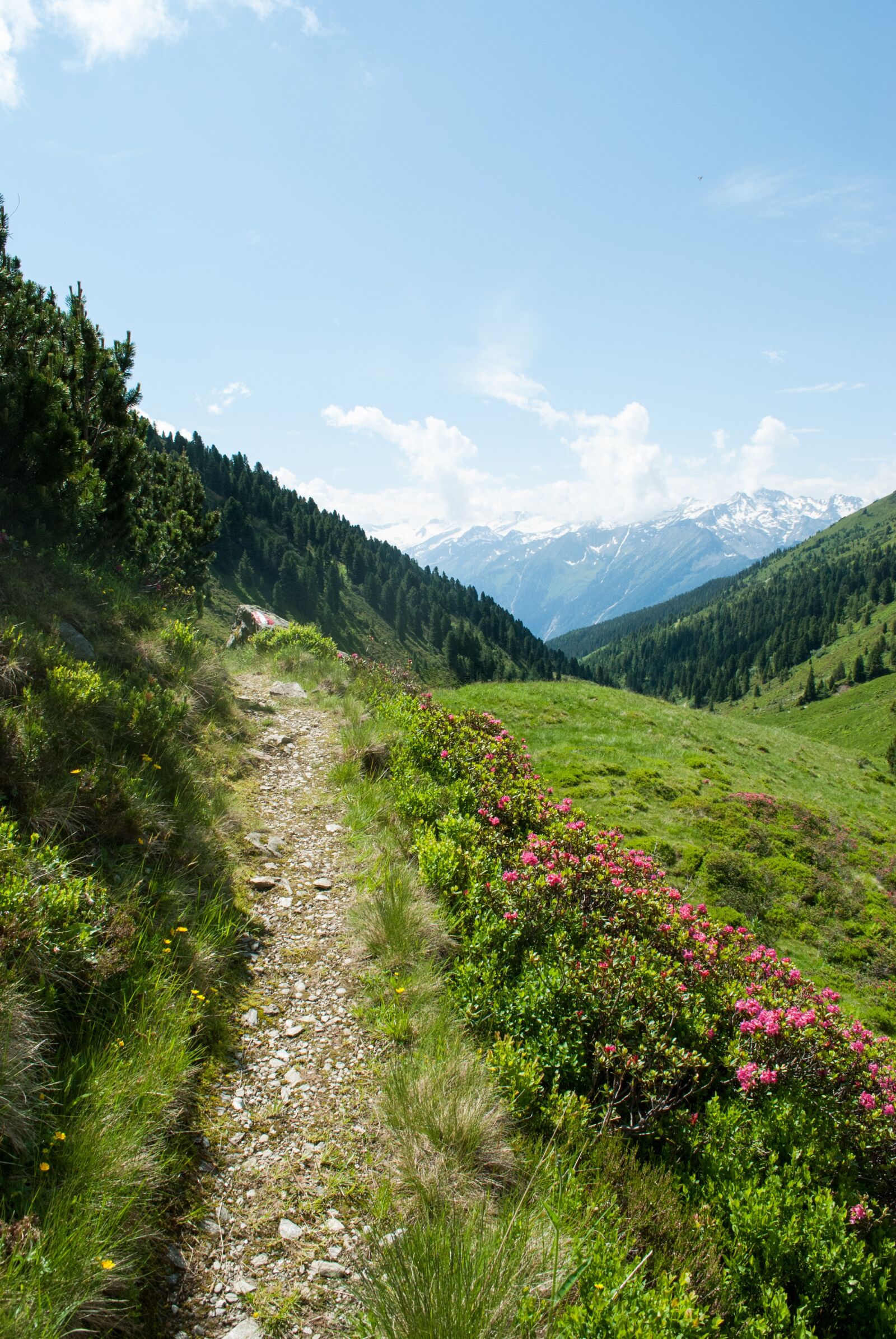 Nikon D60 sample photo. Mountains, hiking, nature photography