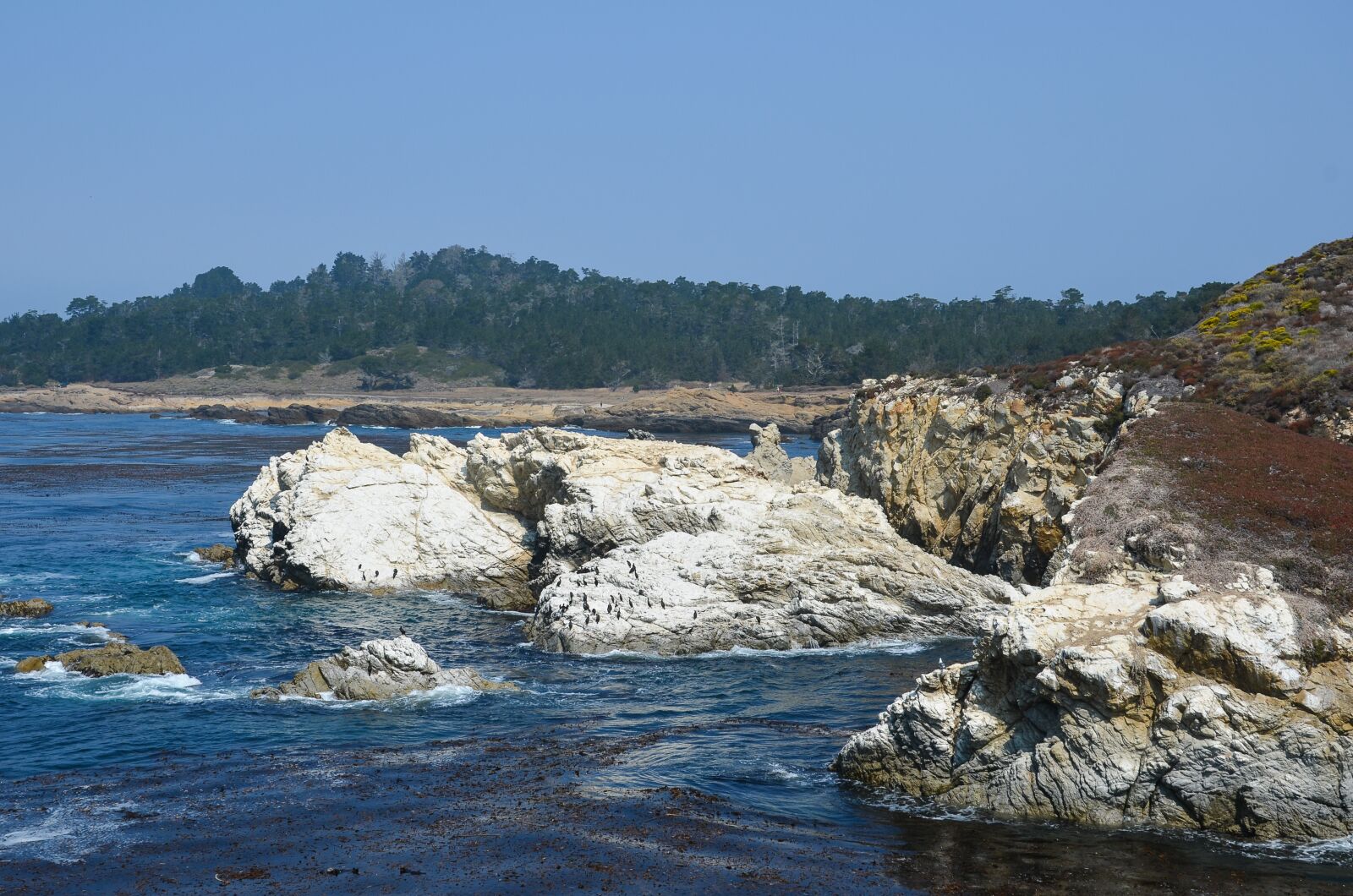 Nikon D5100 sample photo. Usa, america, coast photography