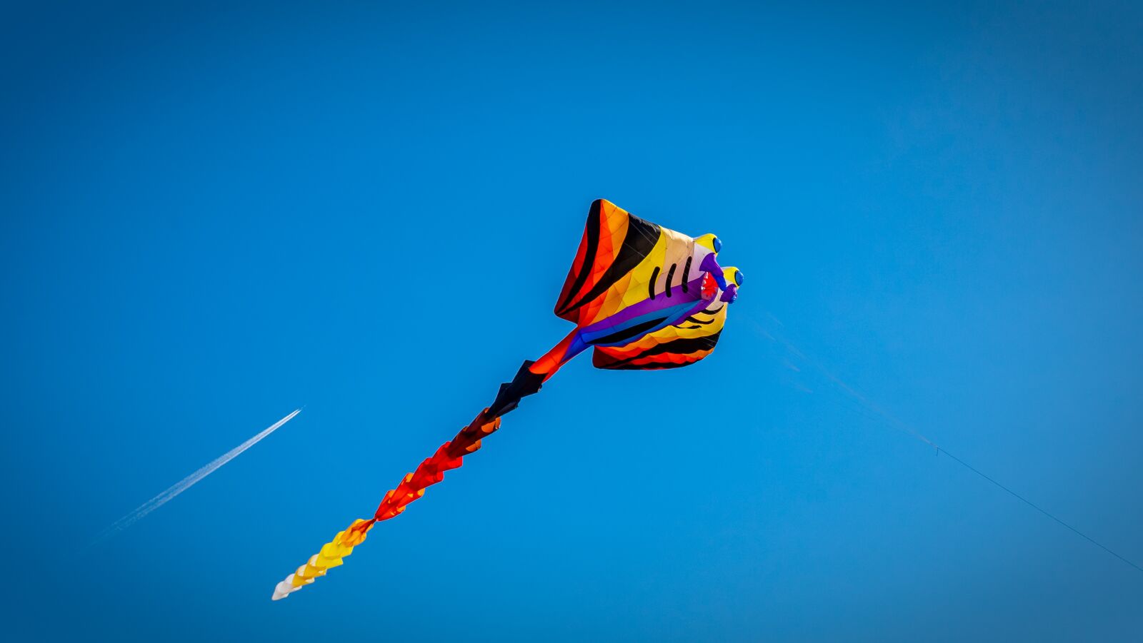 Sony a7 II + Sony E 55-210mm F4.5-6.3 OSS sample photo. Dragons, kite flying, sky photography
