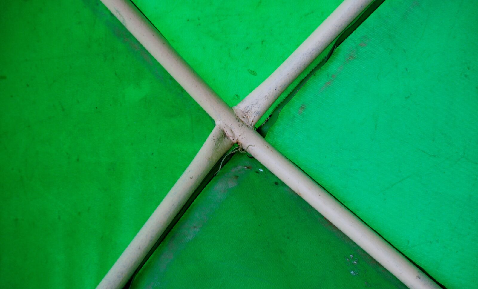 Nikon D80 sample photo. Green, summer, roof photography