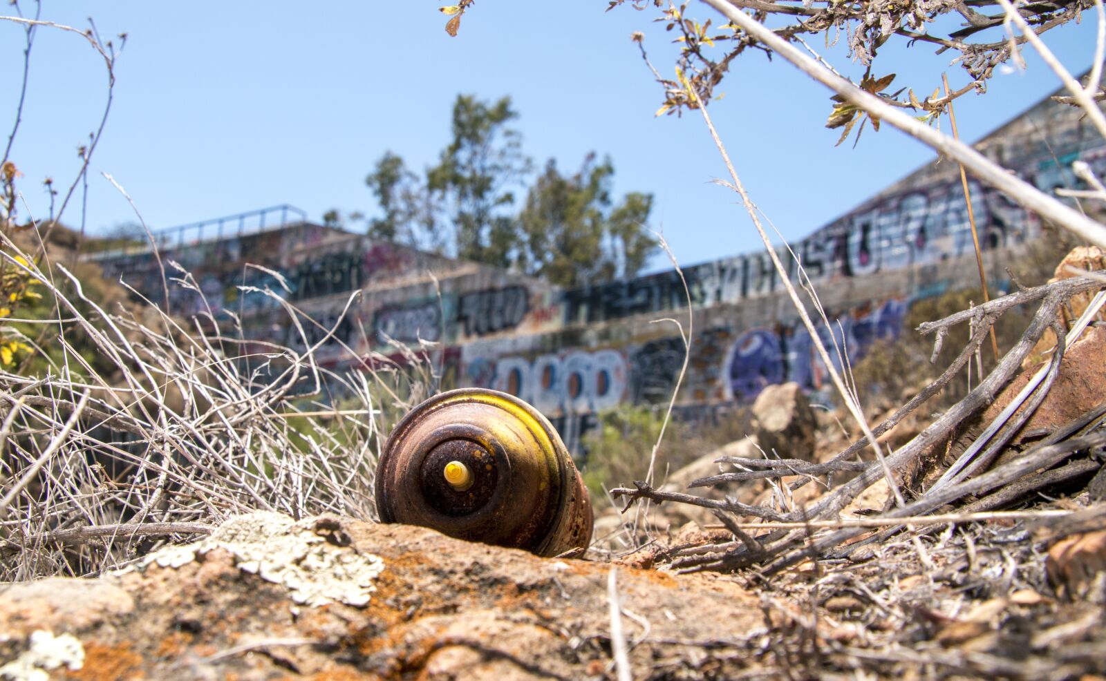 Canon EOS 70D sample photo. Spray, paint, can photography