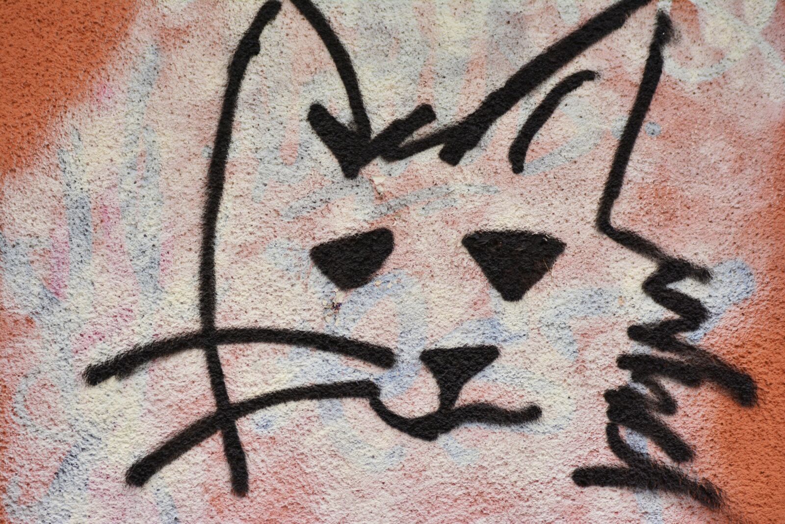 Nikon D5200 sample photo. Graffiti, cat, hauswand photography