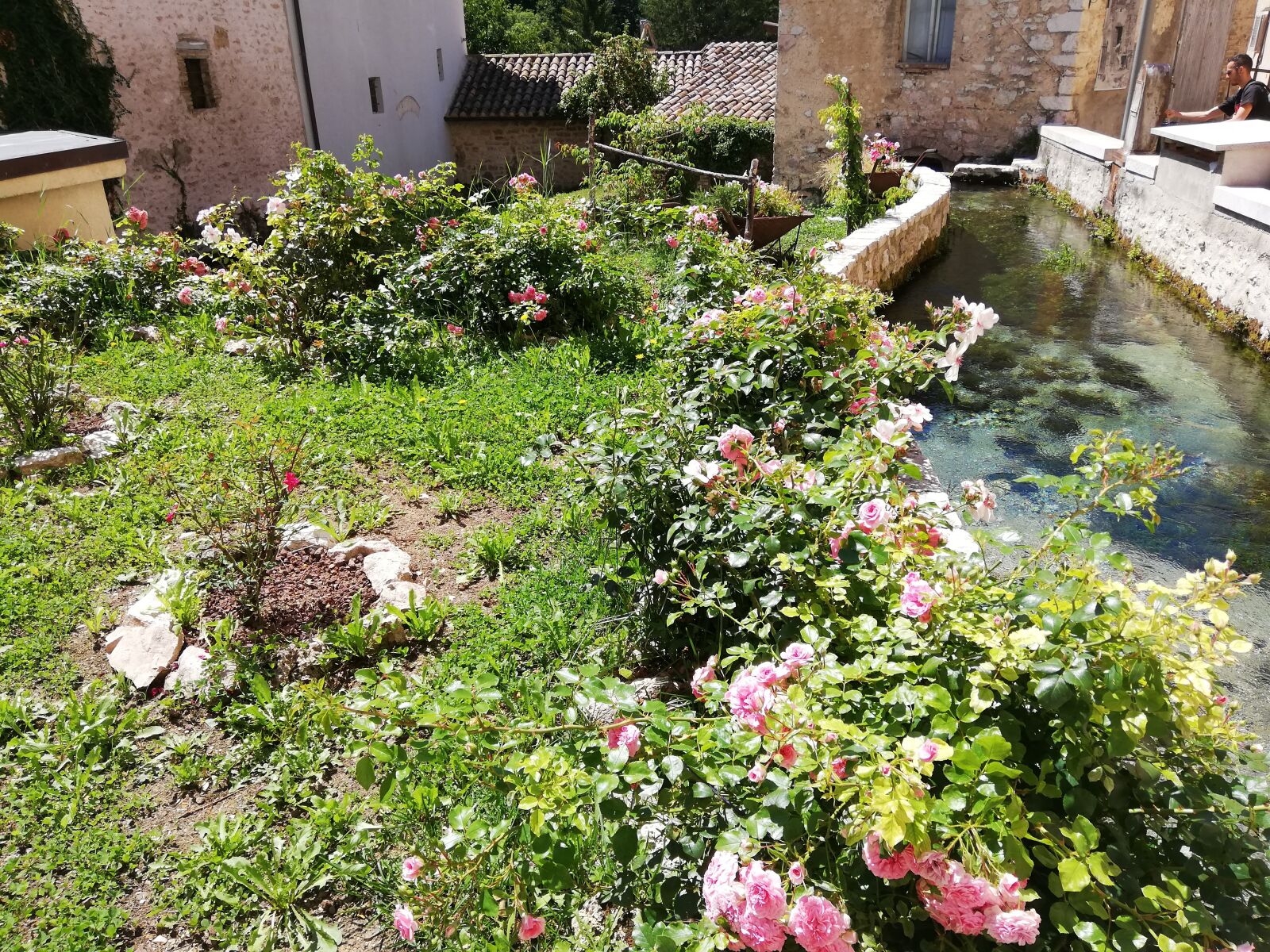HUAWEI P20 lite sample photo. Garden, out, stream photography
