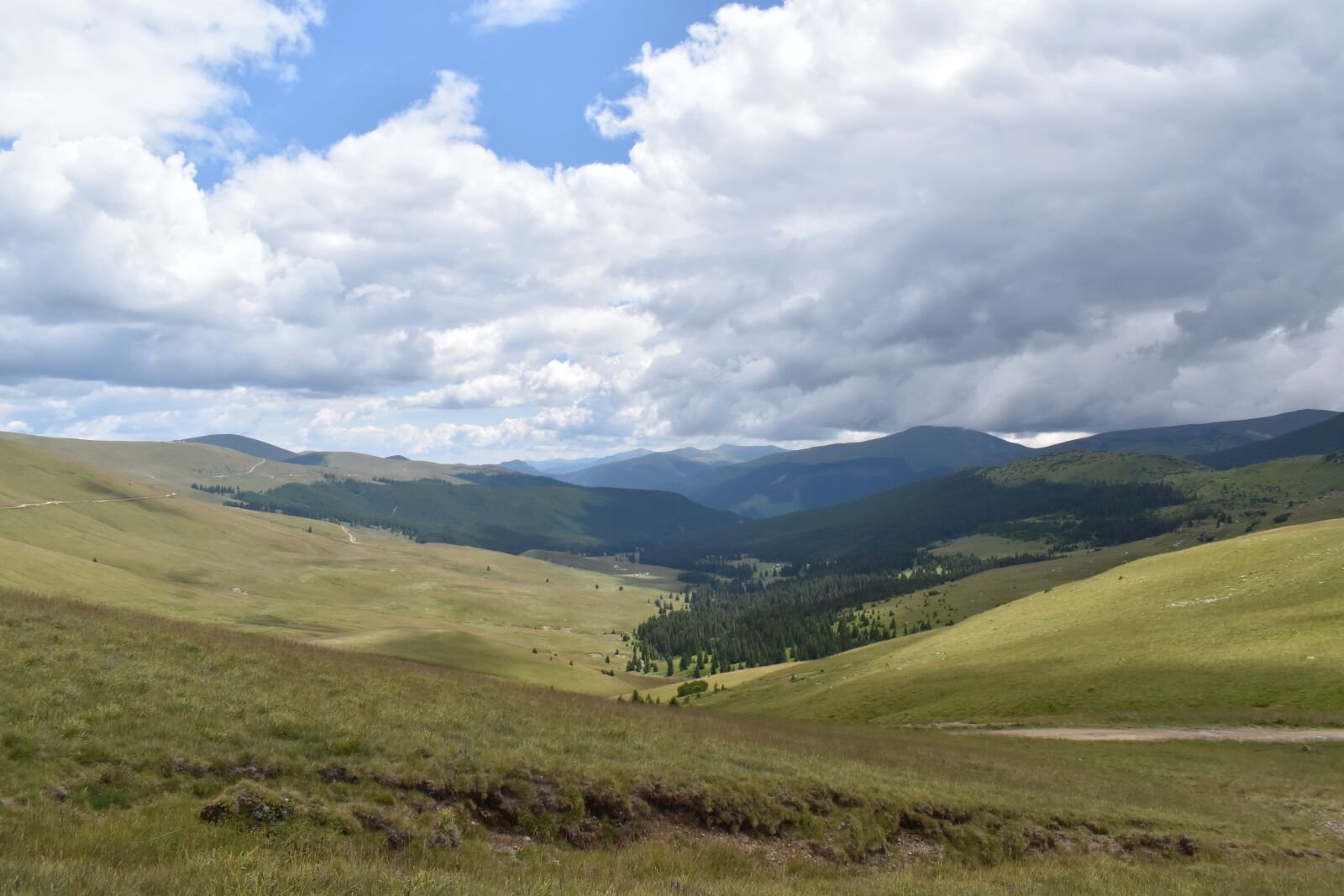 Nikon D5600 sample photo. Valley, sky, glen photography