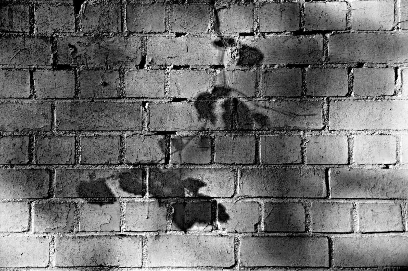 Nikon D90 sample photo. Wall, brick, brick wall photography