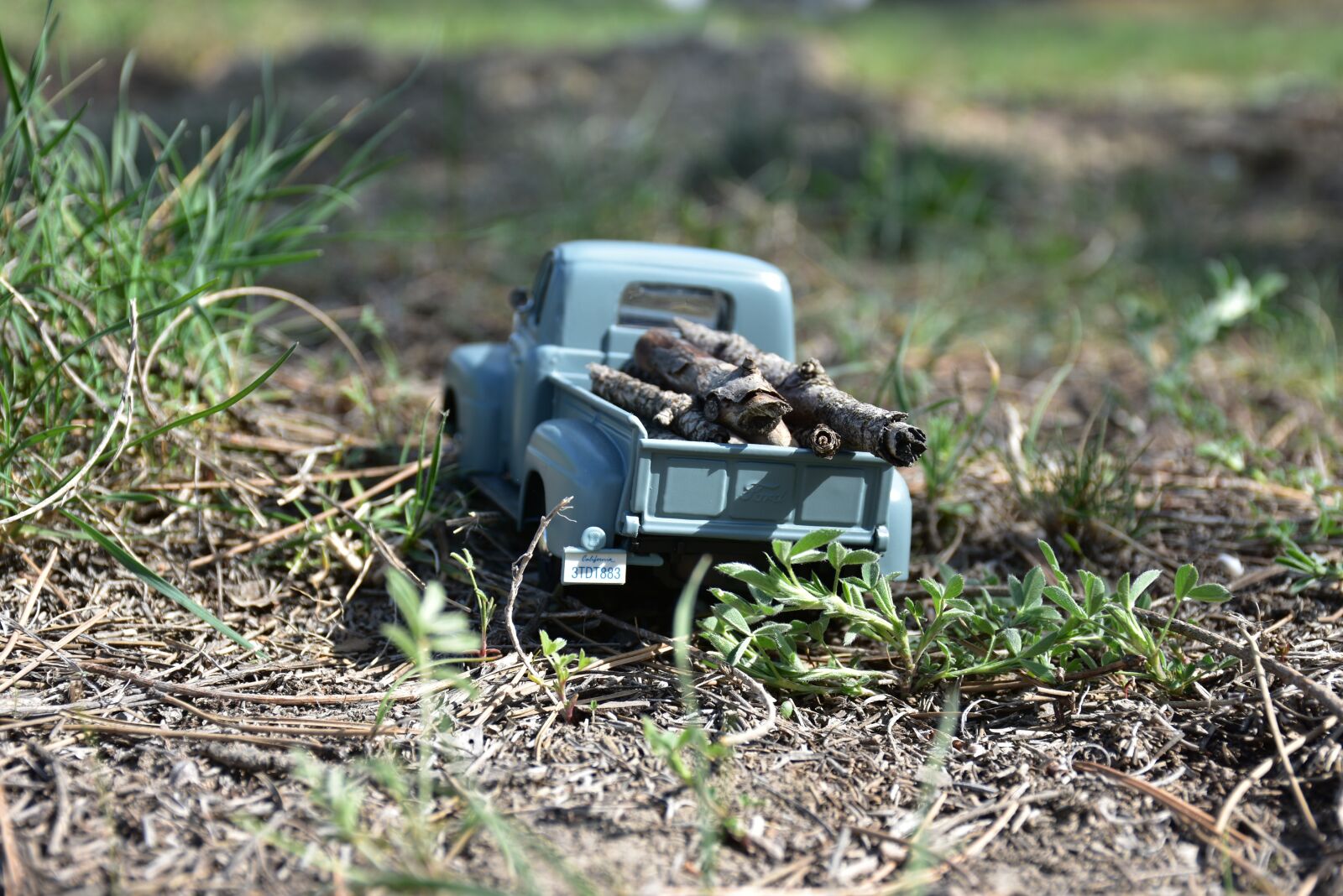 Nikon D7200 sample photo. Terry, toy, wed model photography