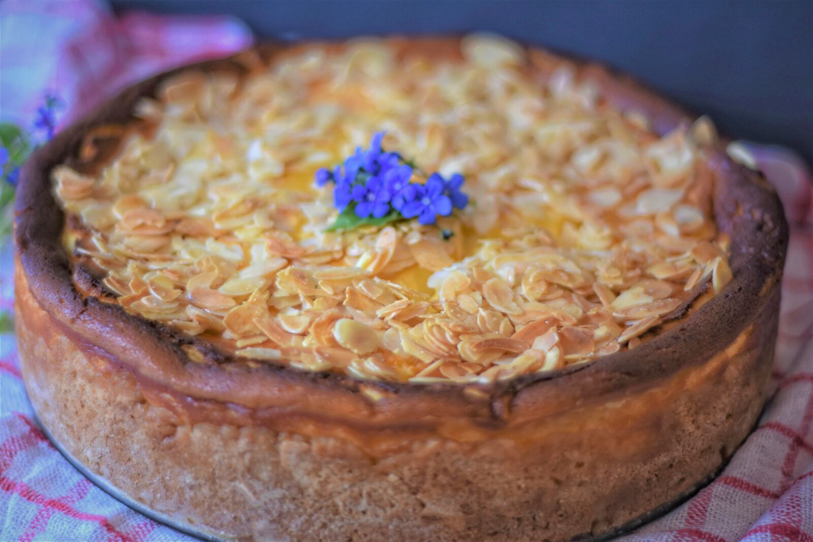 Nikon D7200 sample photo. Cake, cheesecake, bake photography