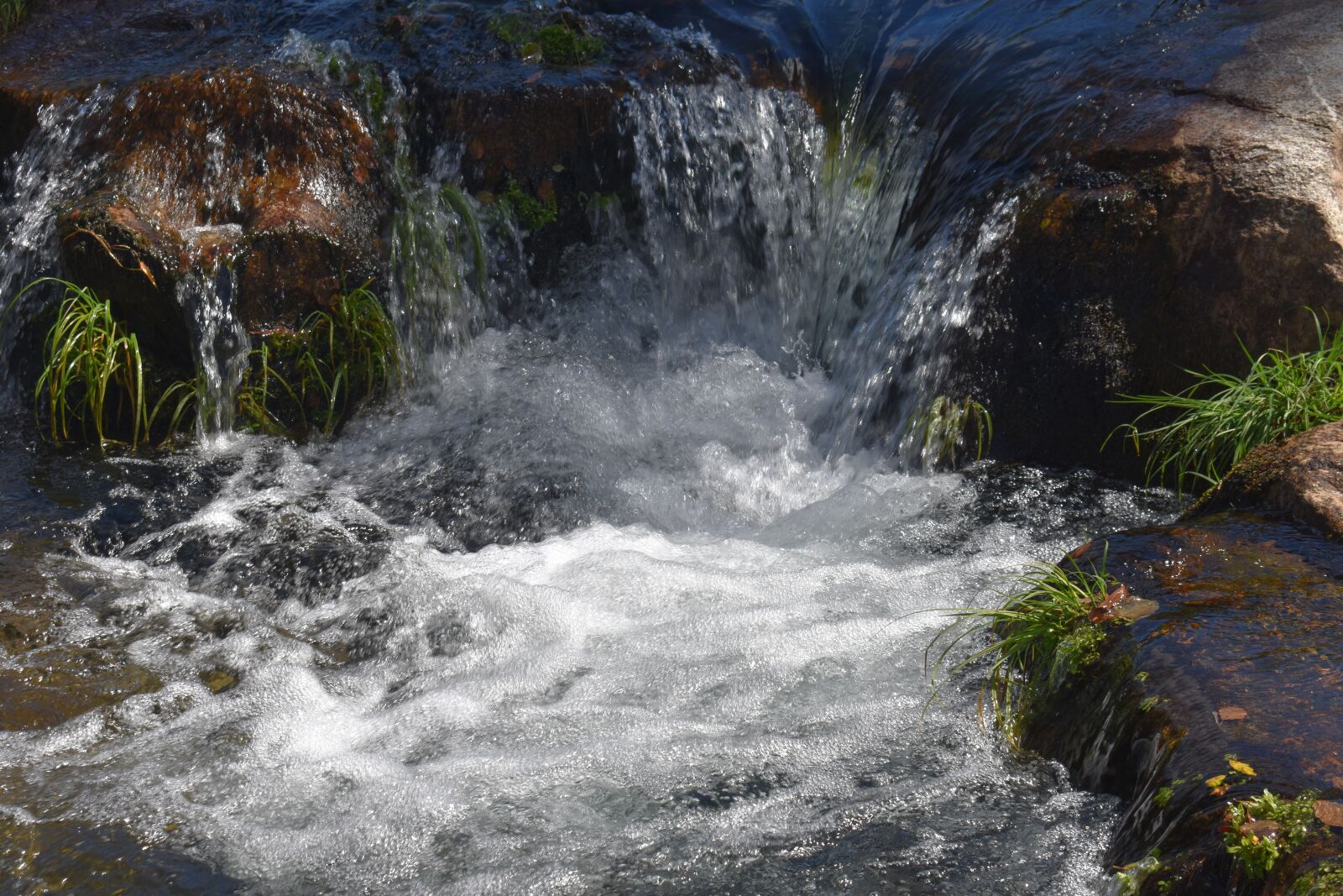 Nikon D3400 sample photo. Nature, mountain, forest photography