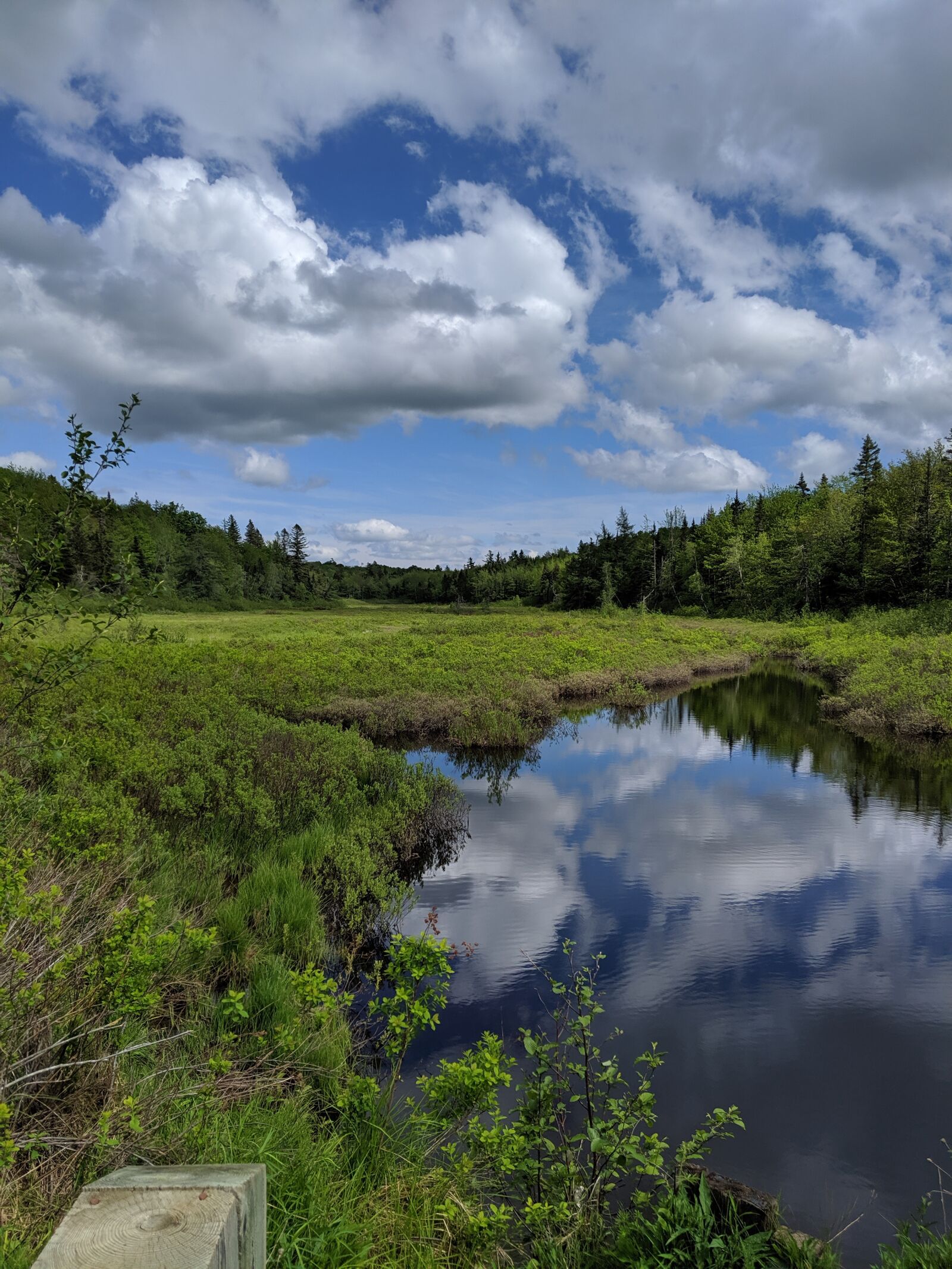 Google Pixel 3 sample photo. Nova scotia, nature, canada photography