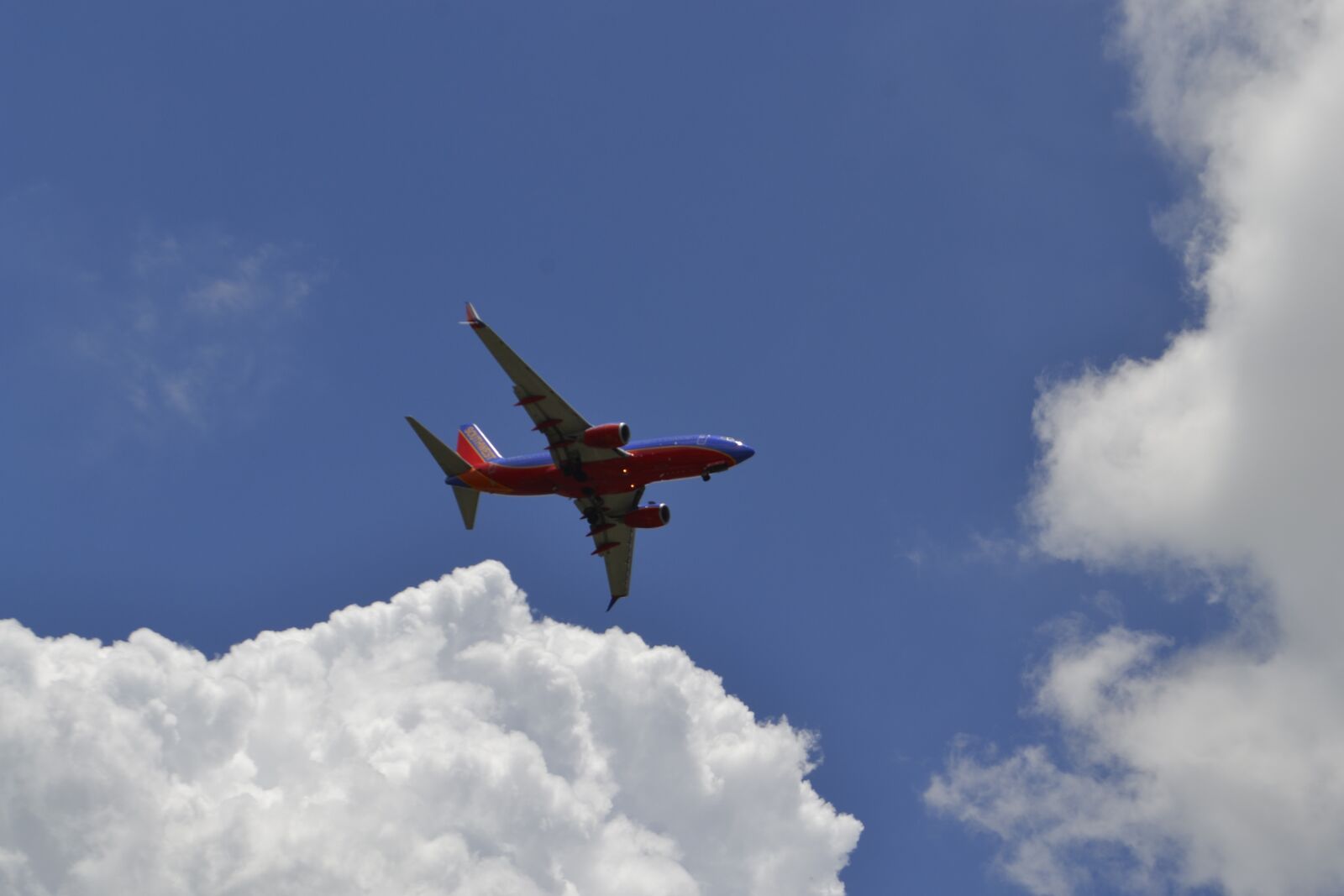 Nikon D3100 sample photo. Southwest, boeing 734, airline photography