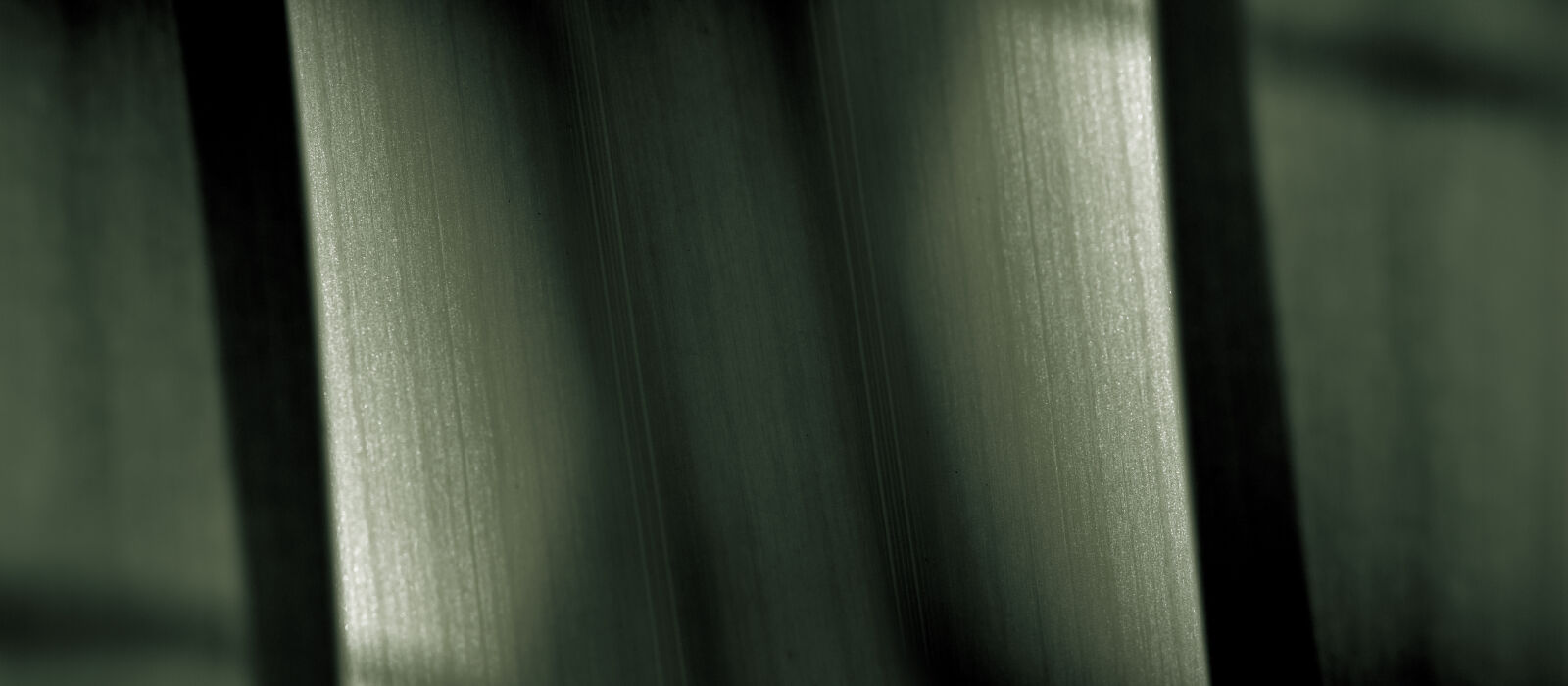 Nikon D7000 + Nikon AF-S Nikkor 50mm F1.8G sample photo. Abstract, abstrato, background, brazilian photography