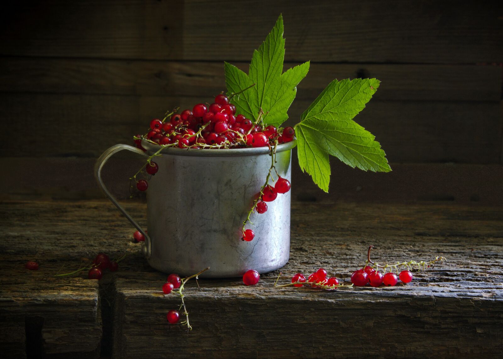 Nikon D3100 sample photo. Berry, currant, red photography