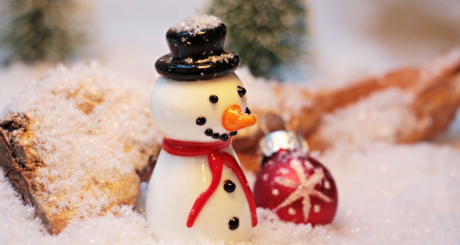 Canon EOS 550D (EOS Rebel T2i / EOS Kiss X4) sample photo. Snowman, snow, winter photography