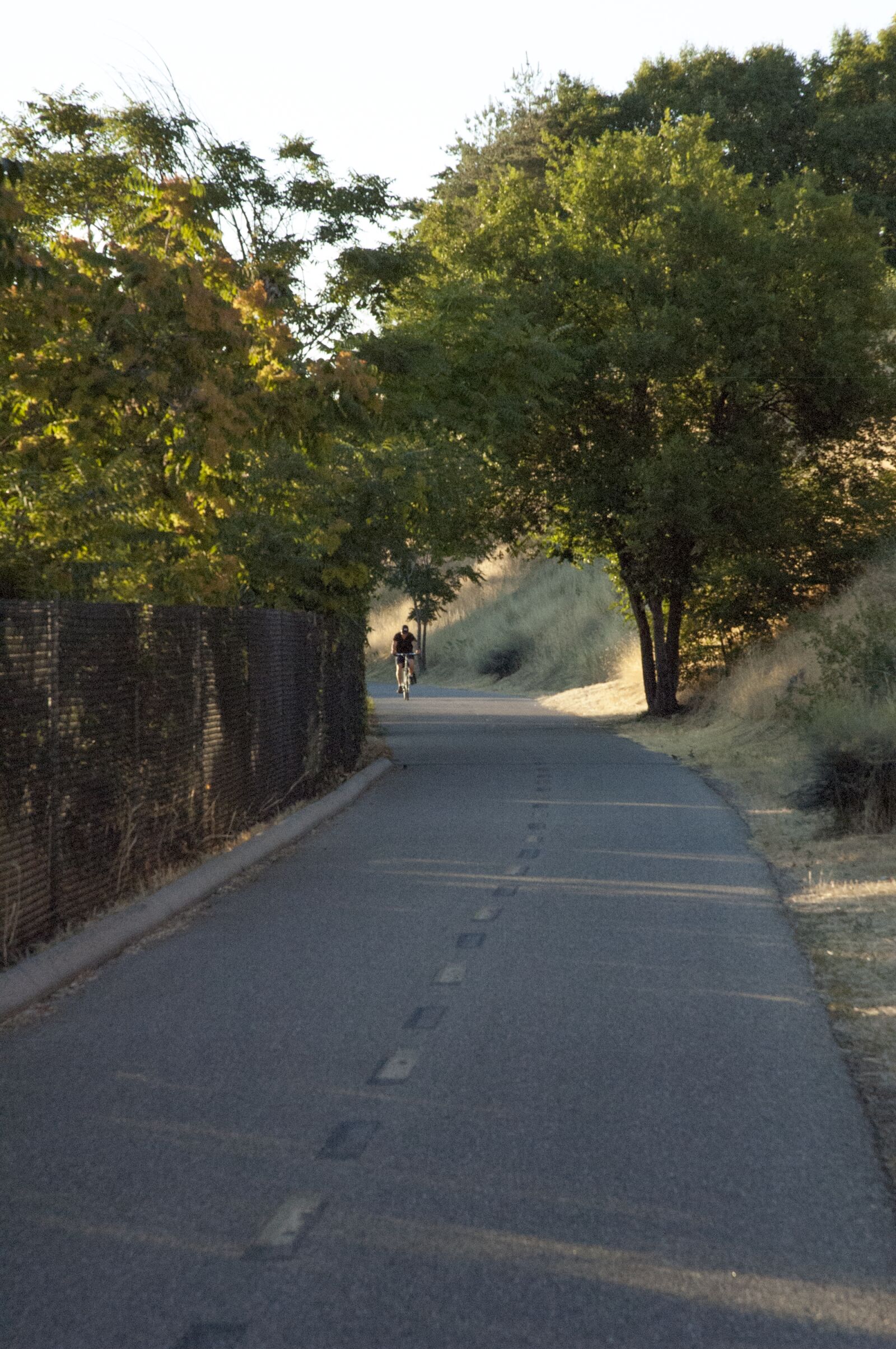 Nikon D70s sample photo. Bicycle, morning, path, trees photography