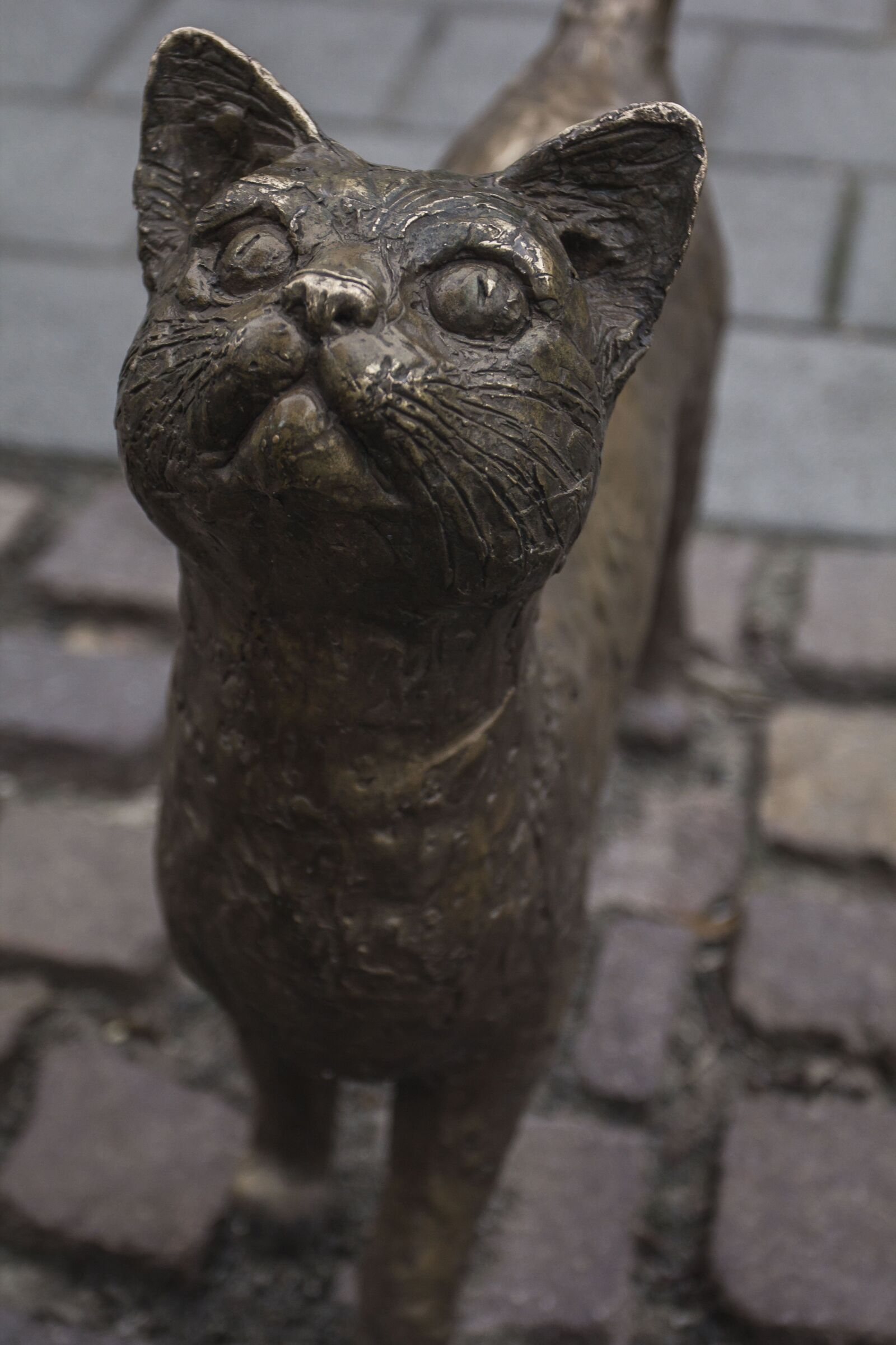 Canon EOS 60D + Canon EF 17-40mm F4L USM sample photo. Bronze, cat, statue photography