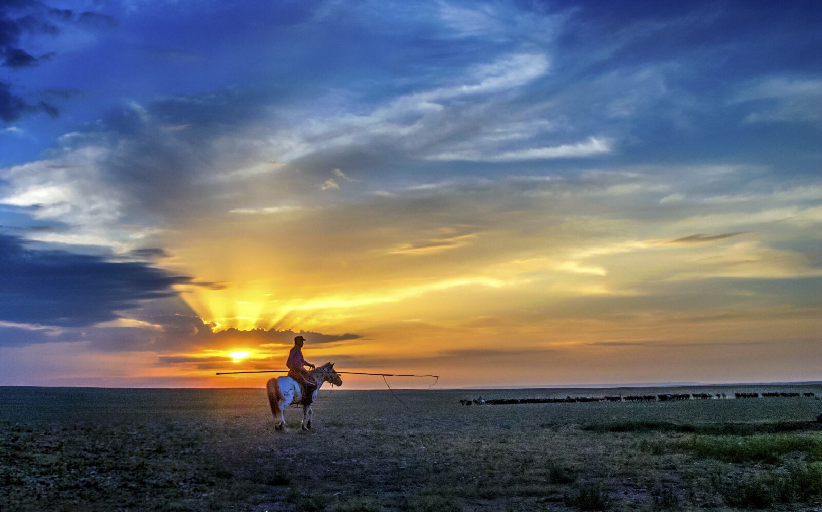 Nikon D80 sample photo. China, inner mongolia, scenery photography